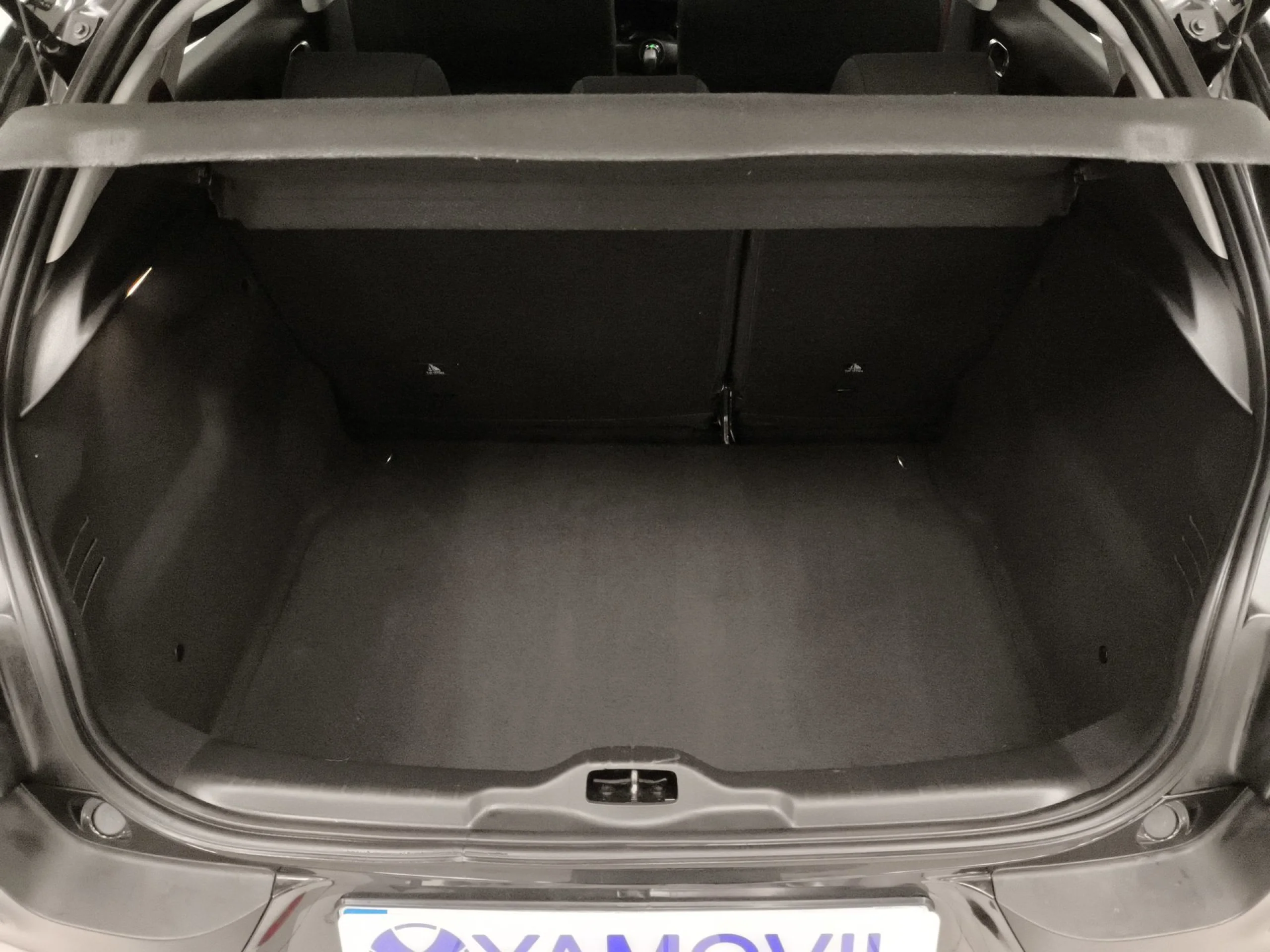 Citroen C4 Cactus PureTech 110 SANDS Rip Curl 81 kW (110 CV) - Foto 21