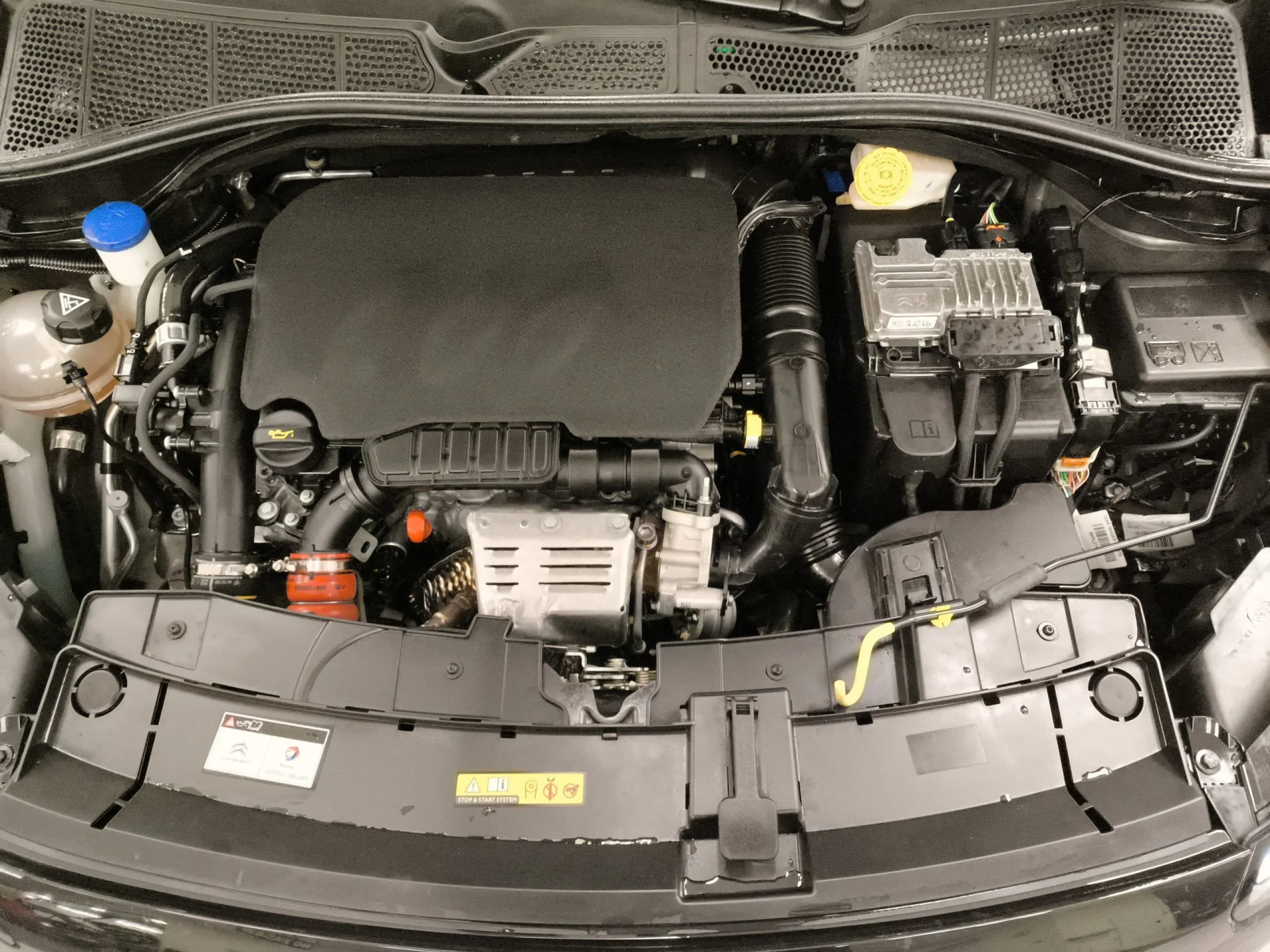 Citroen C4 Cactus PureTech 110 SANDS Rip Curl 81 kW (110 CV) - Foto 23