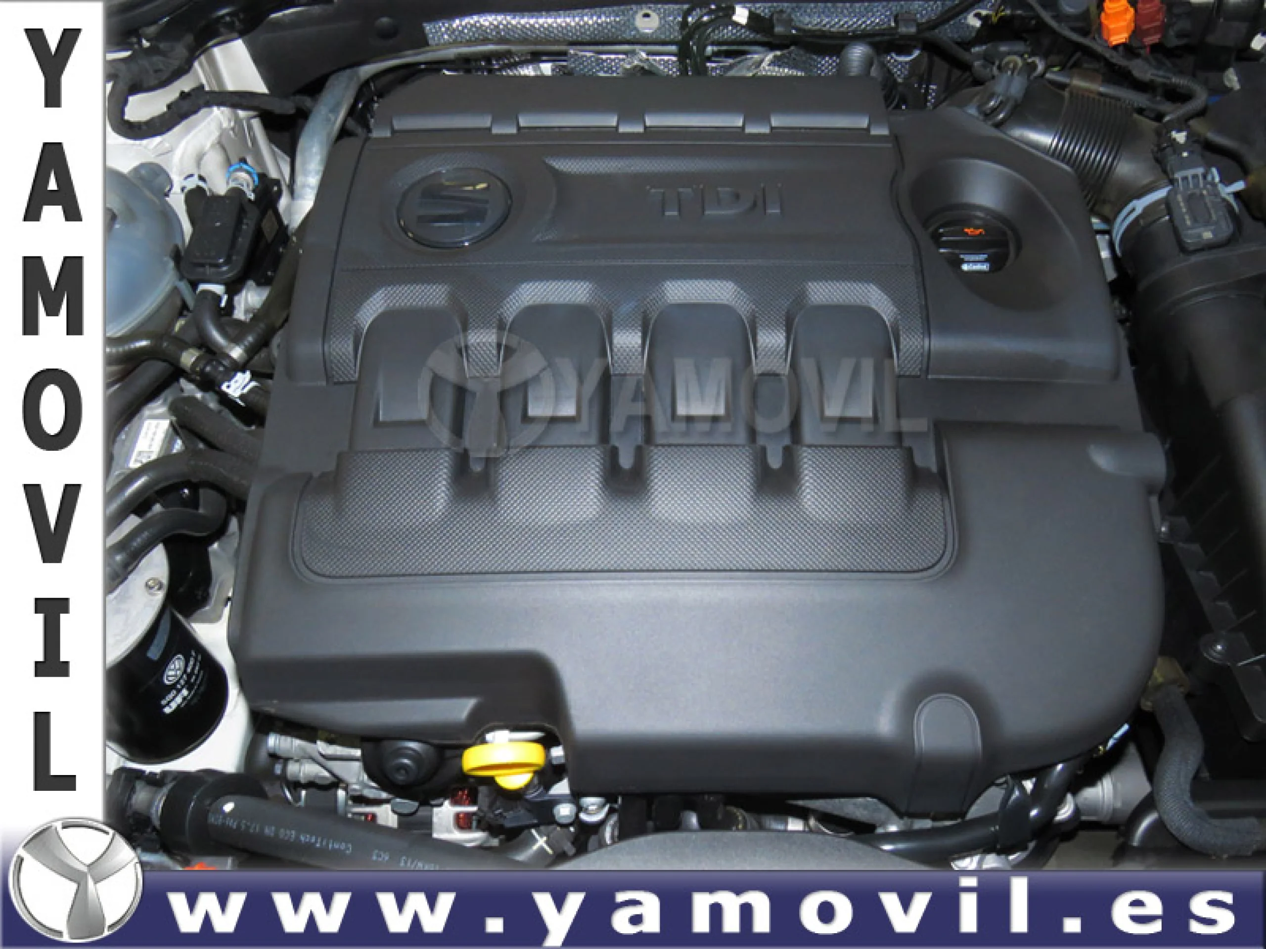 Seat Leon 1.6 TDI 90CV REFERENCE - Foto 8