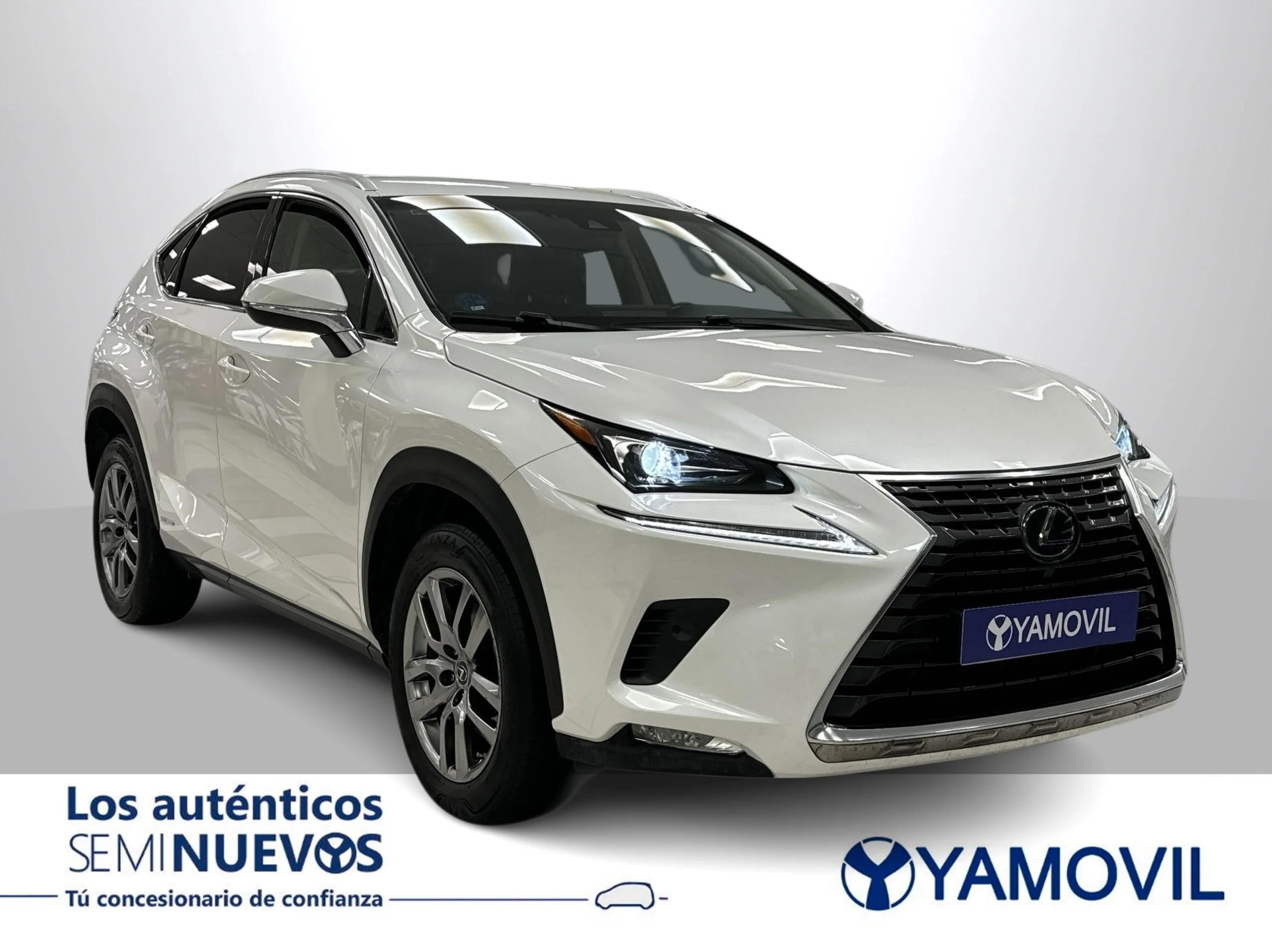 Lexus NX 300h Executive 4WD 145 kW (197 CV) - Foto 2