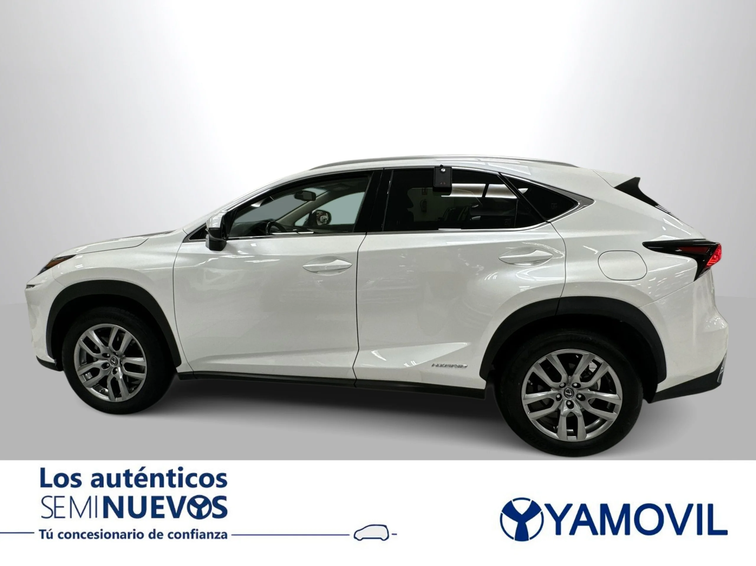 Lexus NX 300h Executive 4WD 145 kW (197 CV) - Foto 4