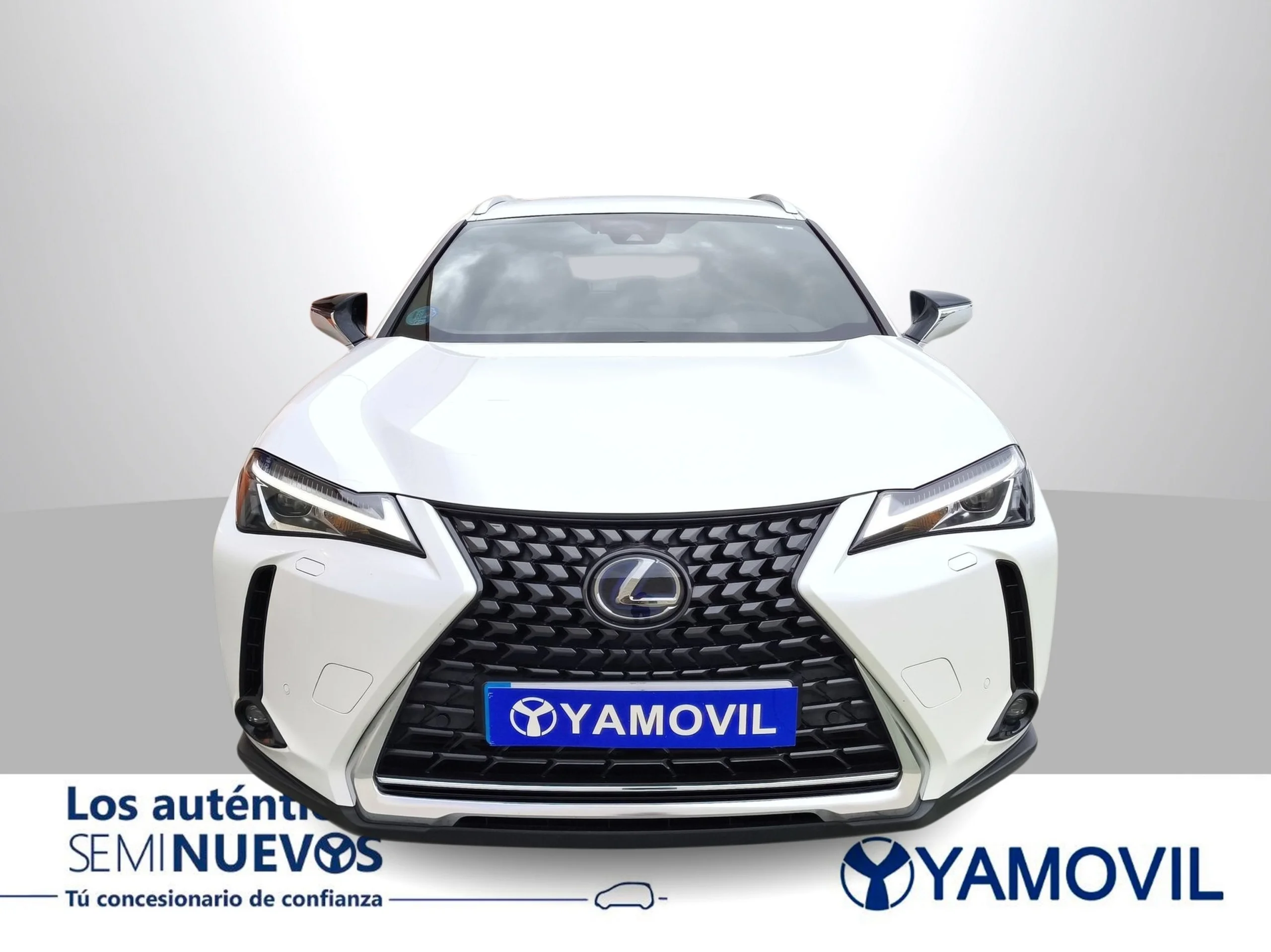 Lexus Ux 250h Business 2WD 135 kW (184 CV) - Foto 6