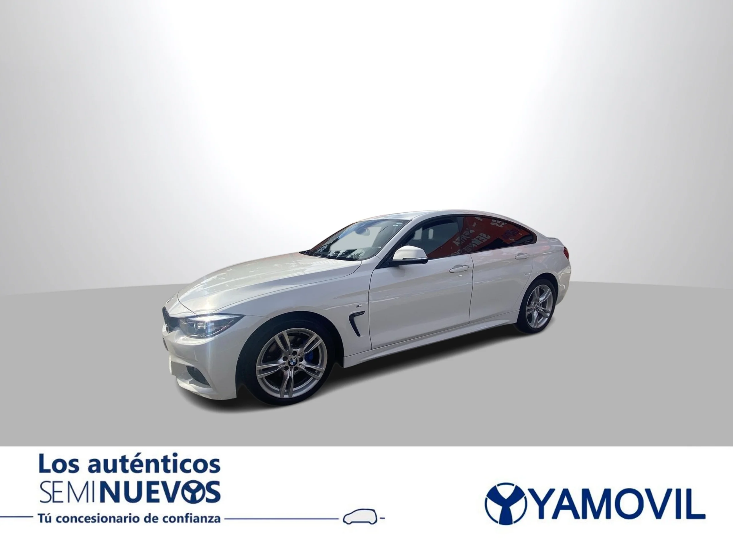 BMW Serie 4 420d Gran Coupe 140 kW (190 CV) - Foto 2