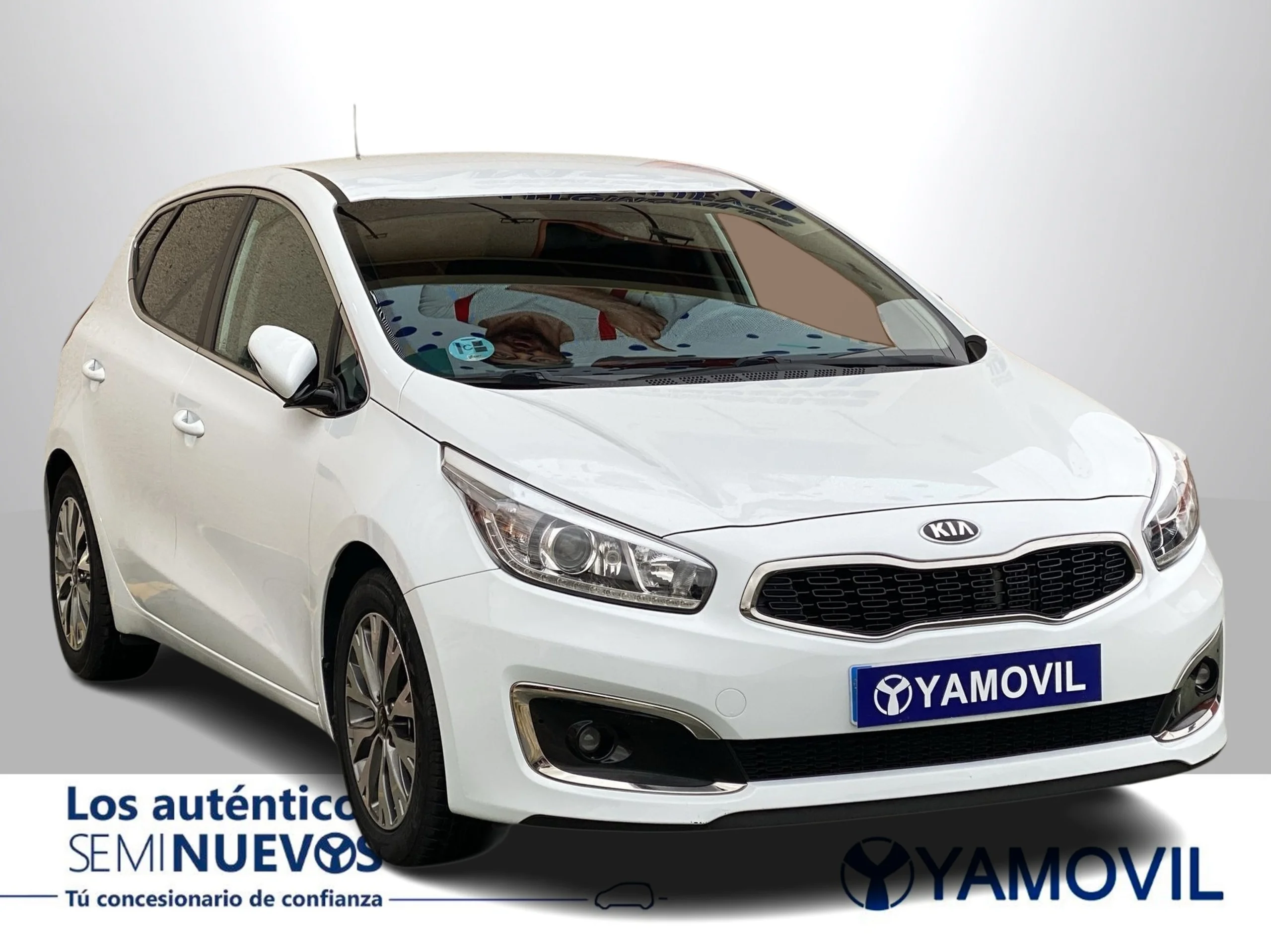 Kia Ceed 1.4 CRDi WGT Concept 66 kW (90 CV) - Foto 2