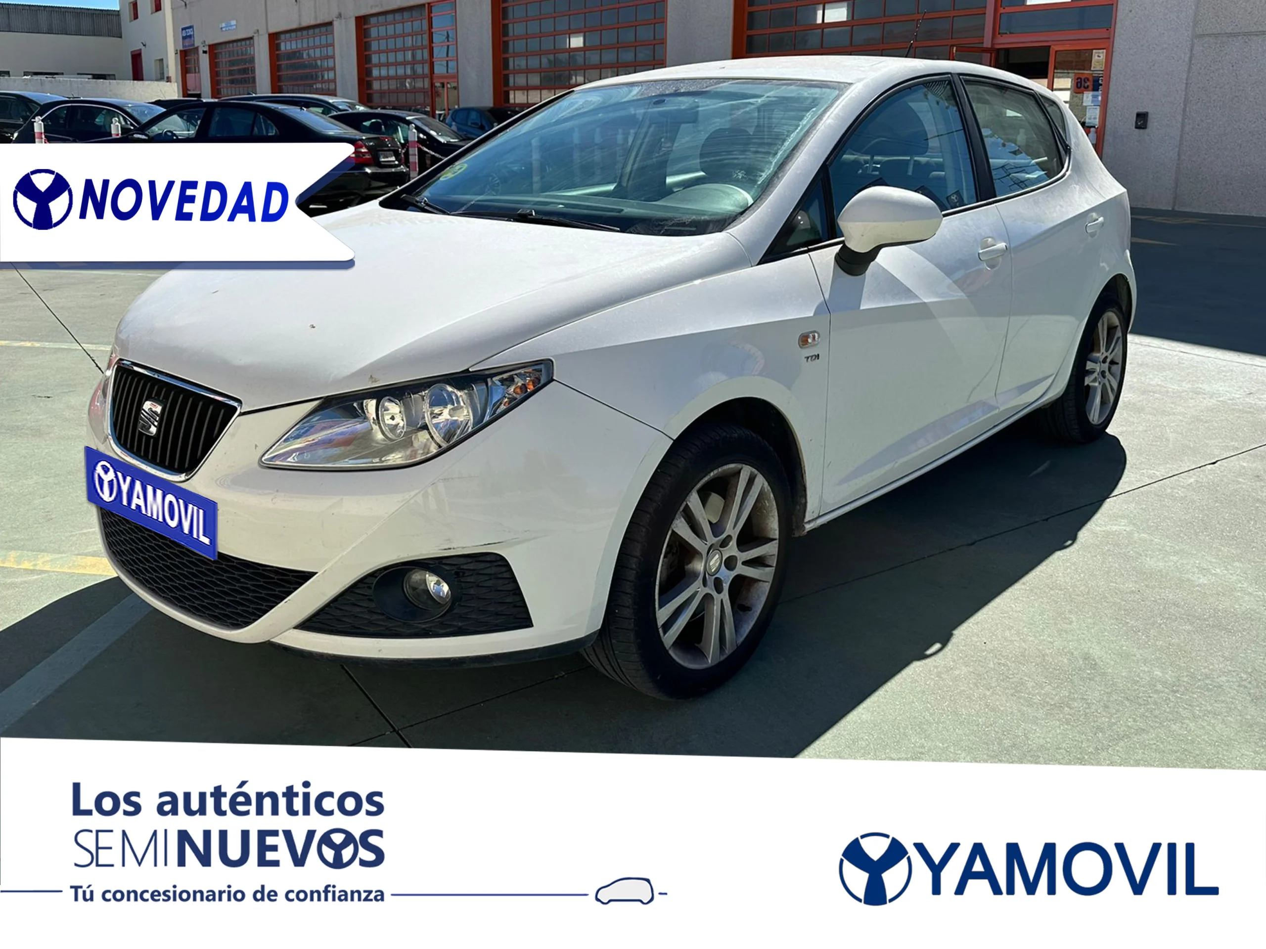 Seat Ibiza 1.9 TDI Sport DPF 77 kW (105 CV) - Foto 1