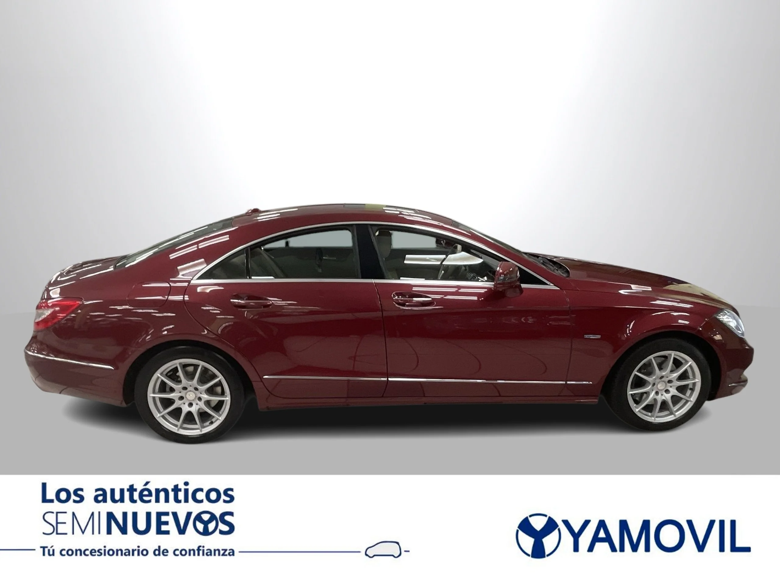 Mercedes-Benz Clase CLS CLS 350 CDI Blue Efficiency 195 kW (265 CV) - Foto 8