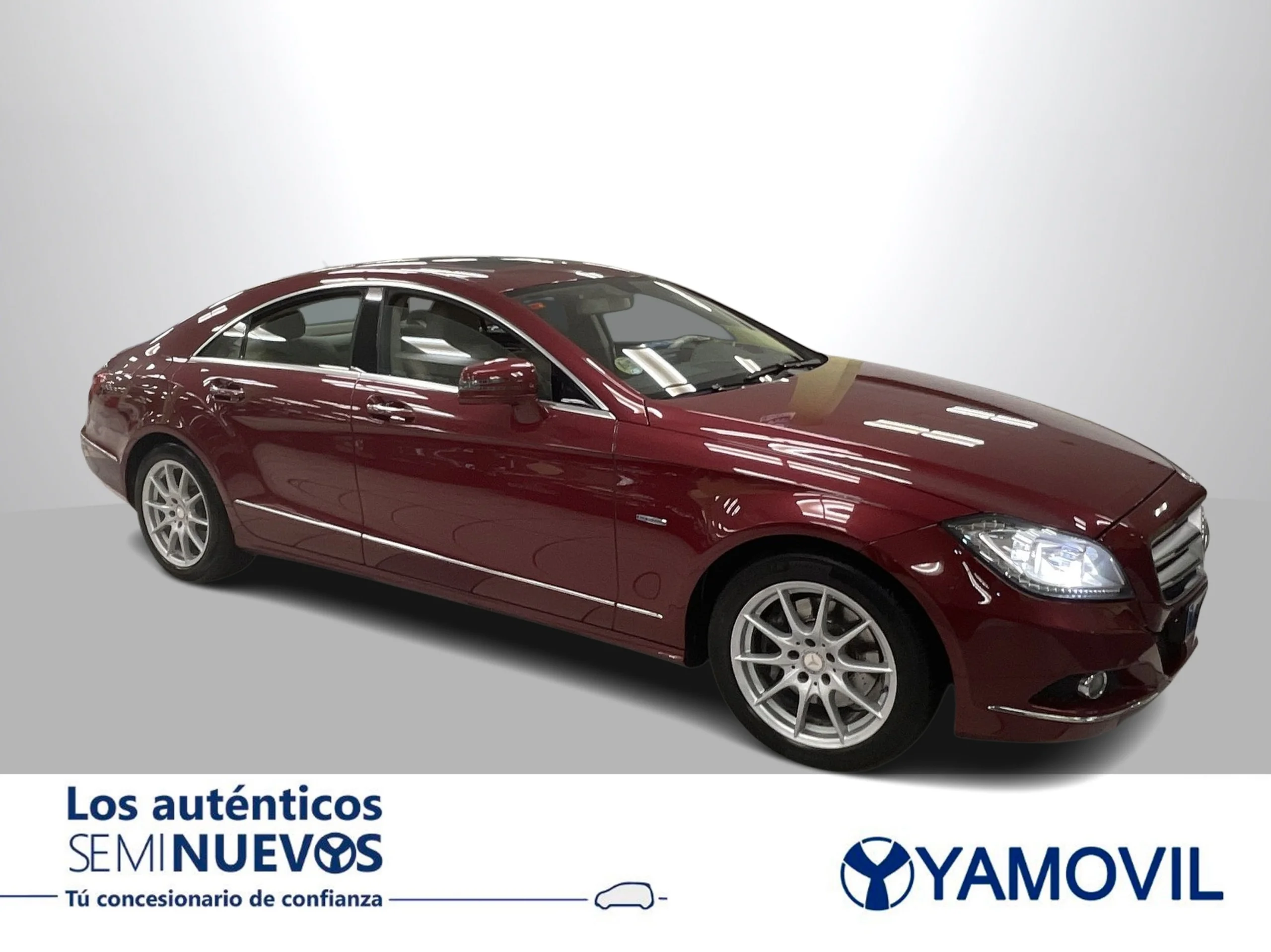 Mercedes-Benz Clase CLS CLS 350 CDI Blue Efficiency 195 kW (265 CV) - Foto 9