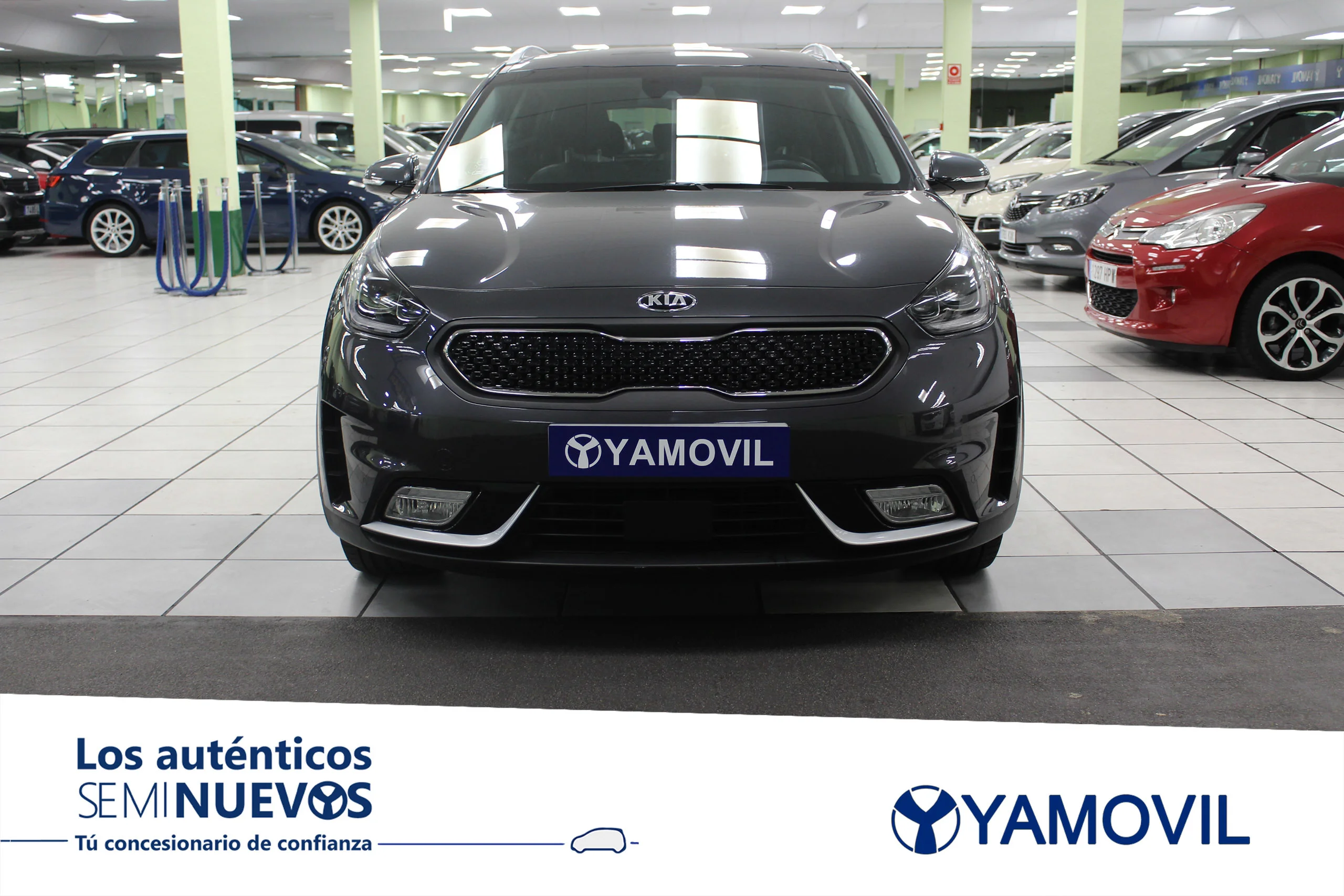Kia Niro 1.6 GDI 141CV EMOTION 5P. - Foto 2