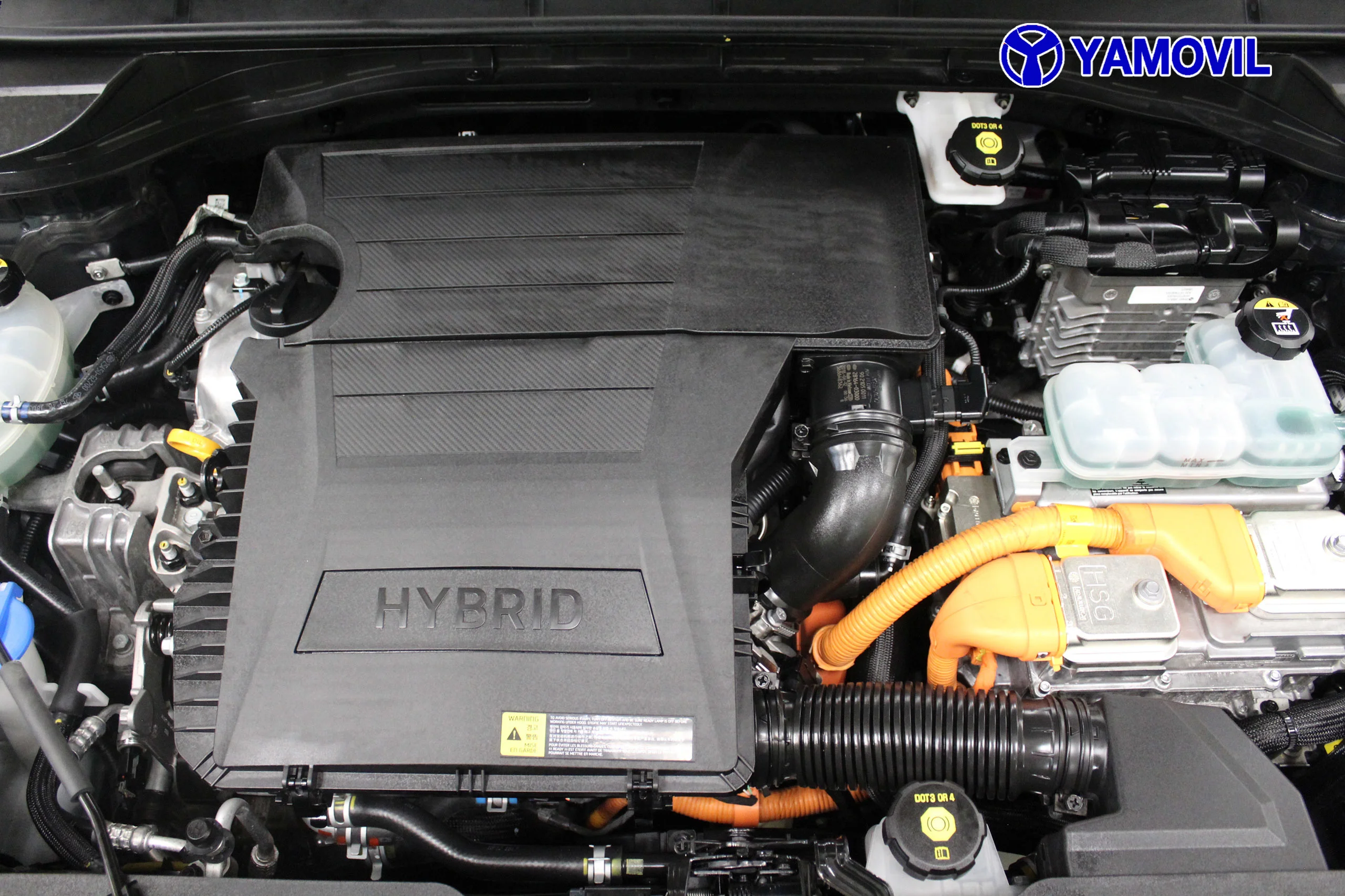 Kia Niro 1.6 GDI 141CV EMOTION 5P. - Foto 8