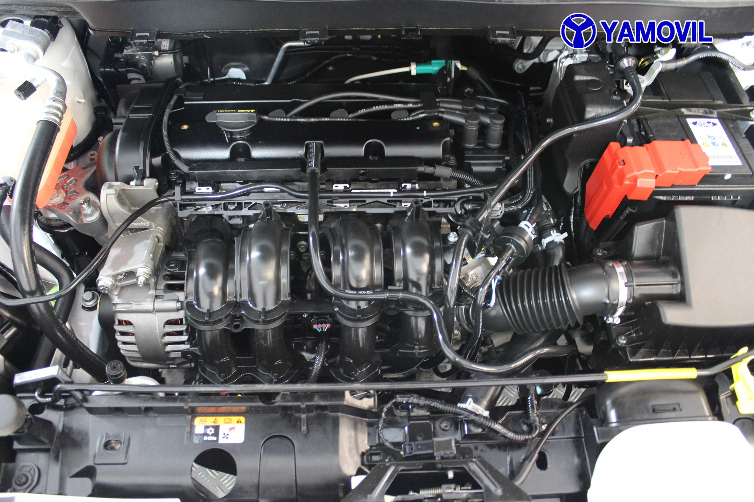 Ford B-Max 1.4 Duratec Trend 66 kW (90 CV) - Foto 12