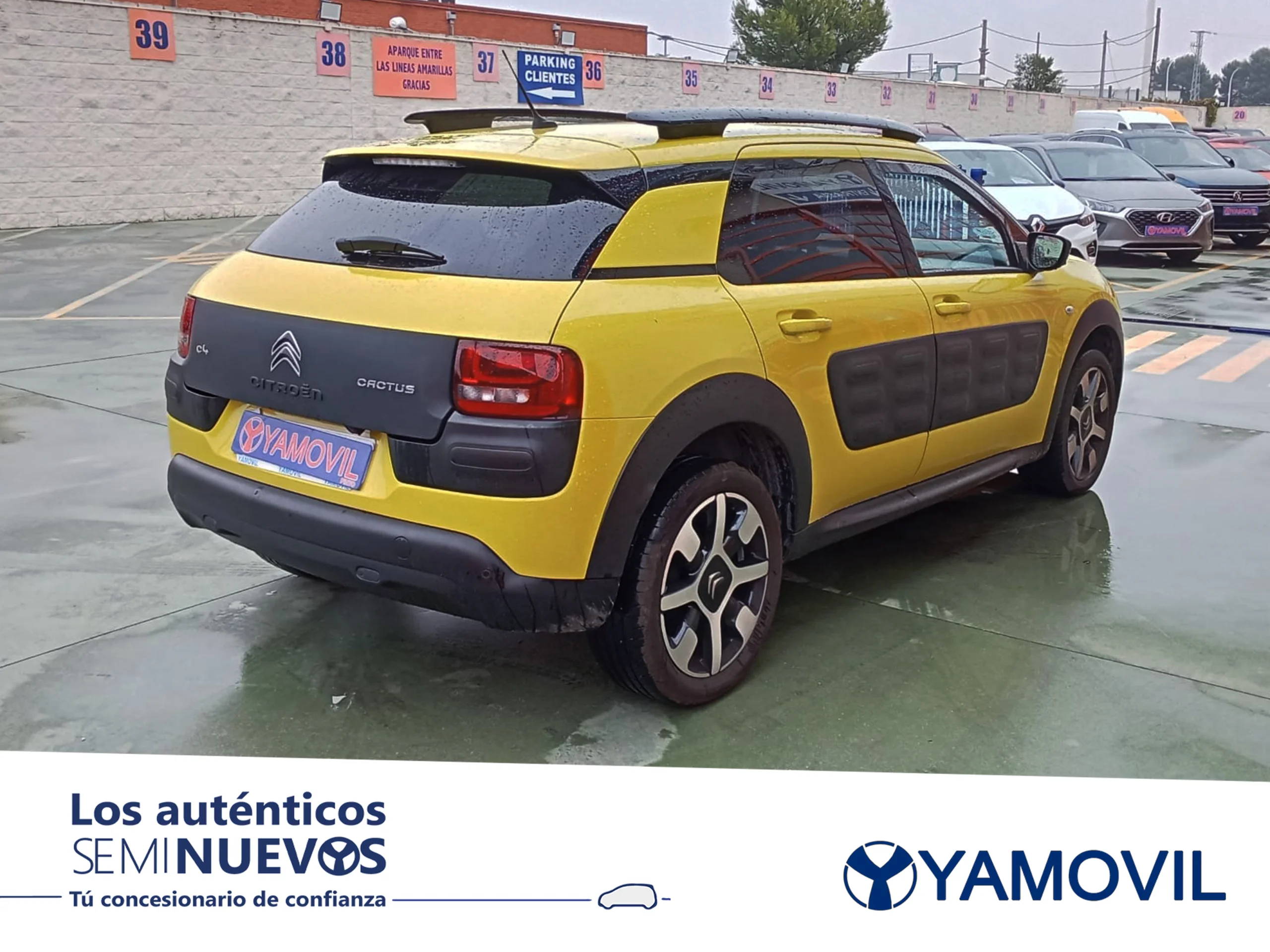 Citroen C4 Cactus BlueHDi 100 Shine 73 kW (100 CV) - Foto 2