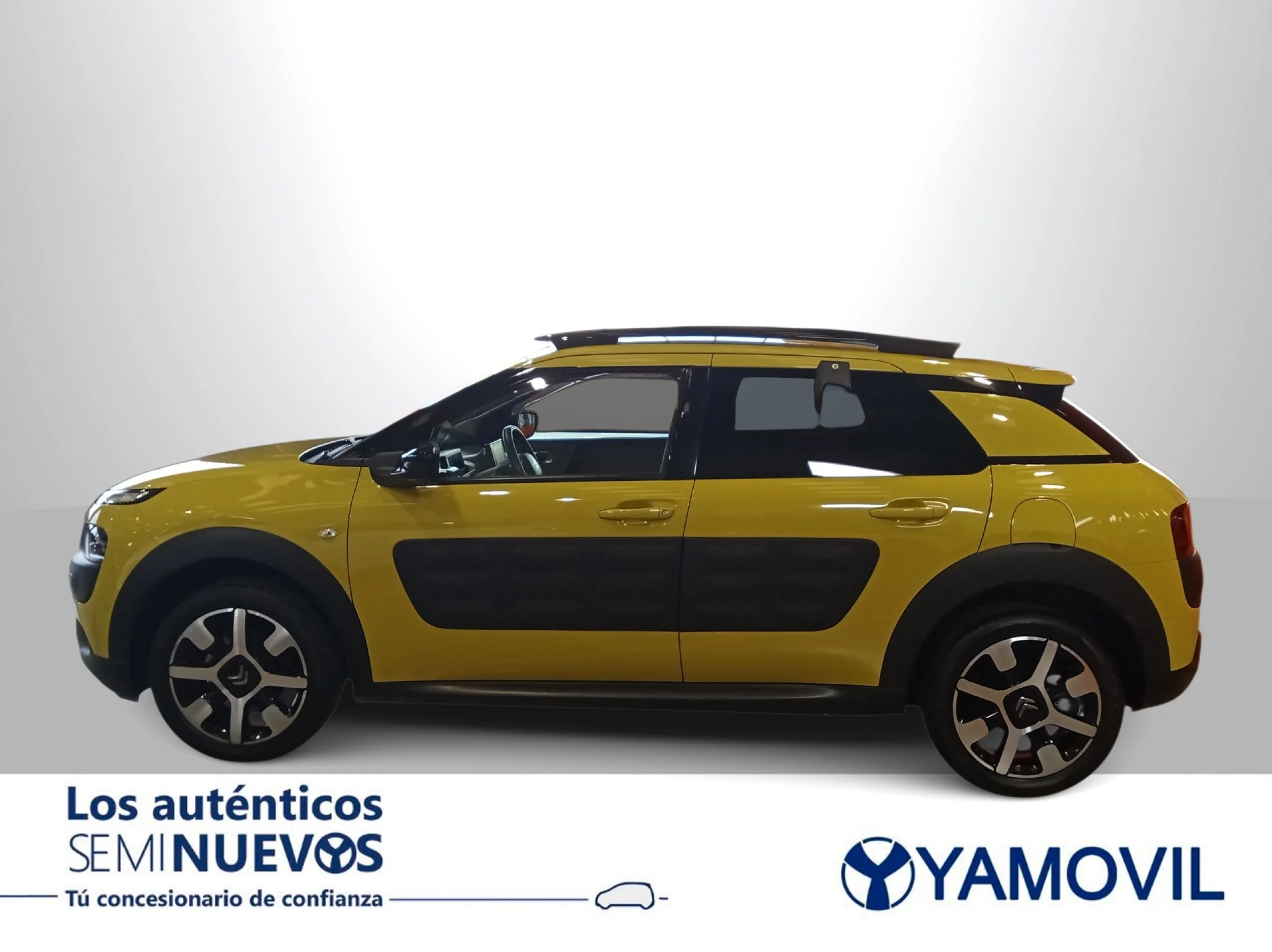 Citroen C4 Cactus BlueHDi 100 Shine 73 kW (100 CV) - Foto 4