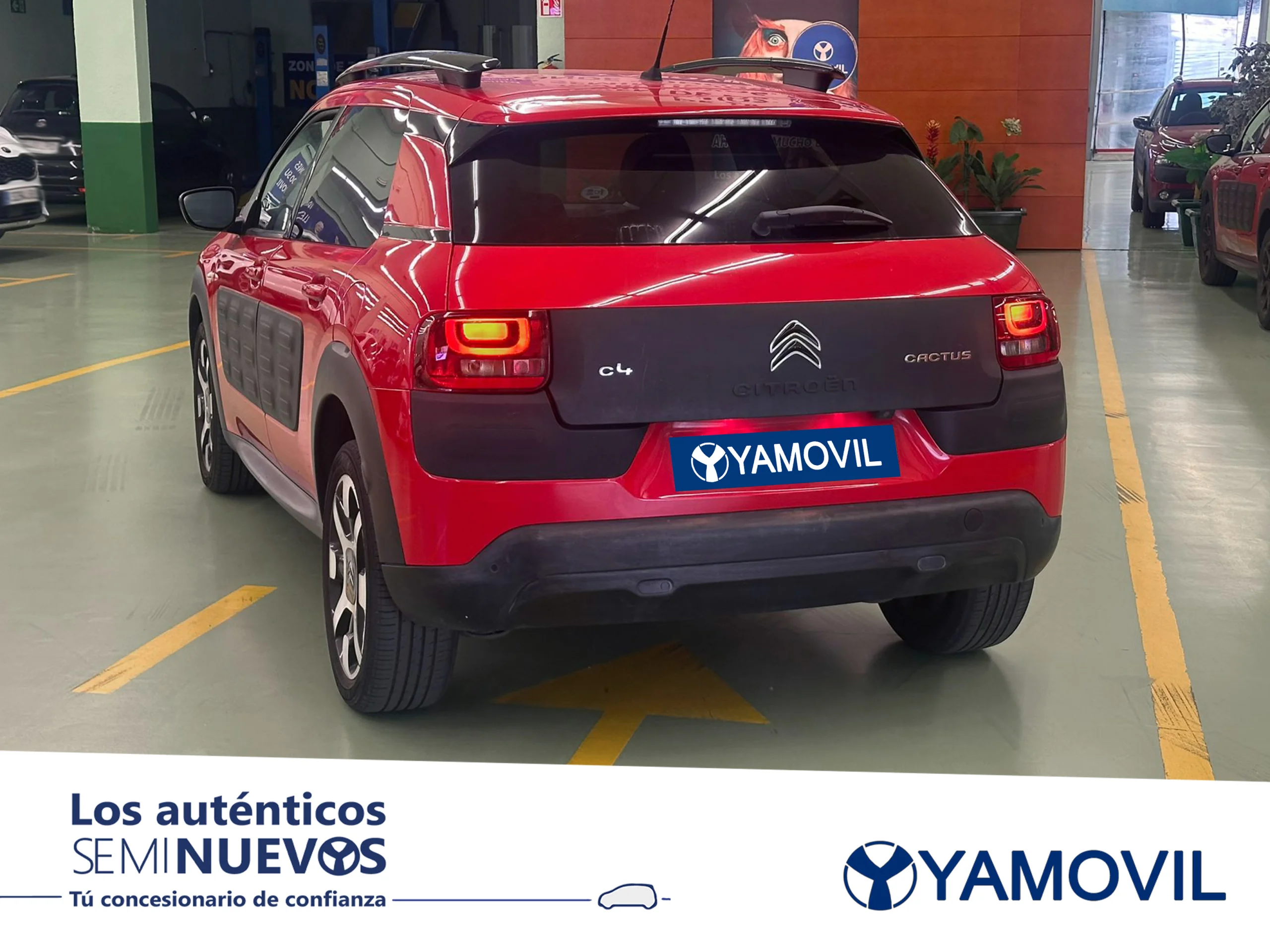 Citroen C4 Cactus PureTech 110 SANDS Shine 81 kW (110 CV) - Foto 4