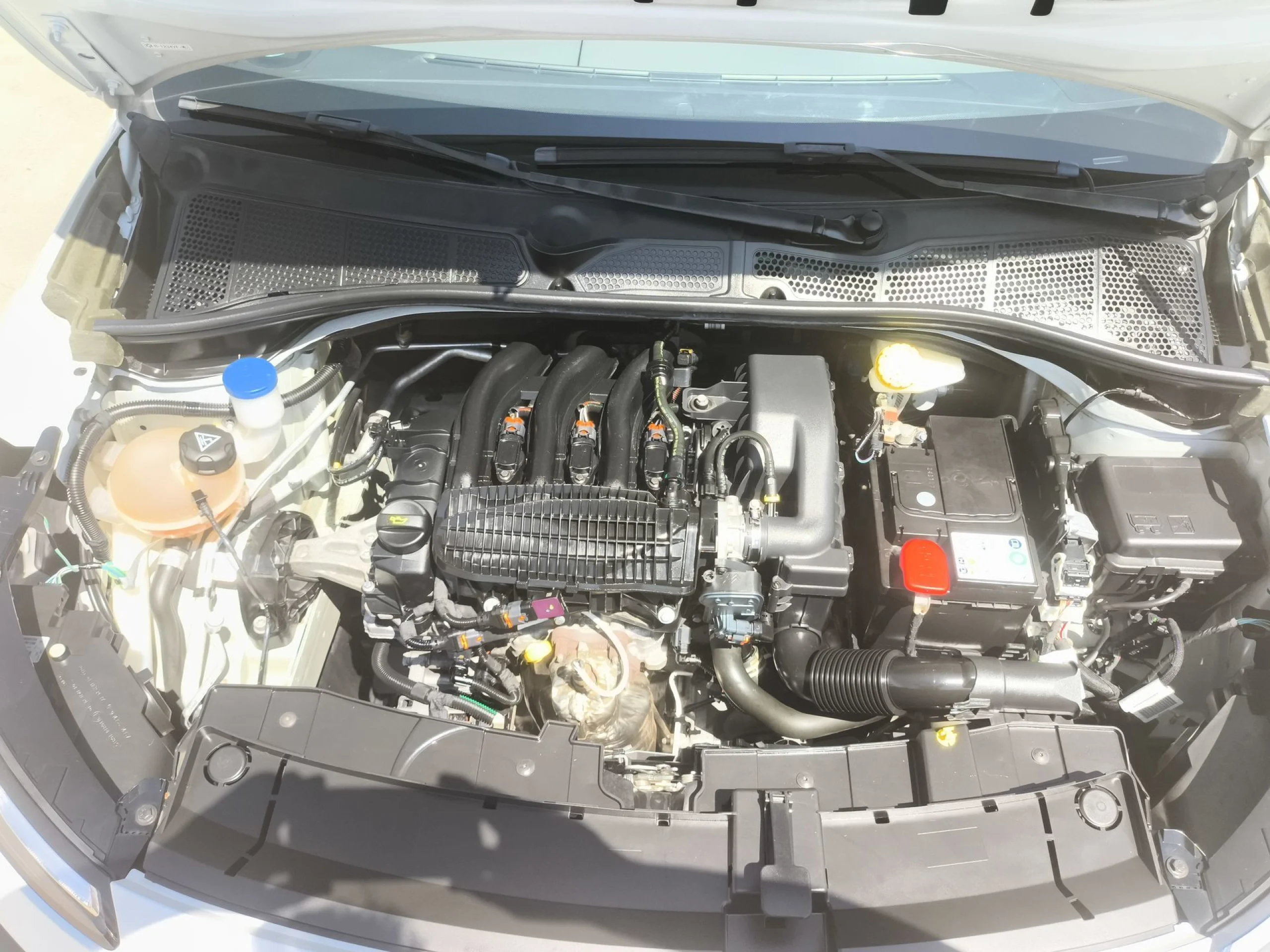 Citroen C4 Cactus PureTech 82 Feel 60 kW (82 CV) - Foto 20