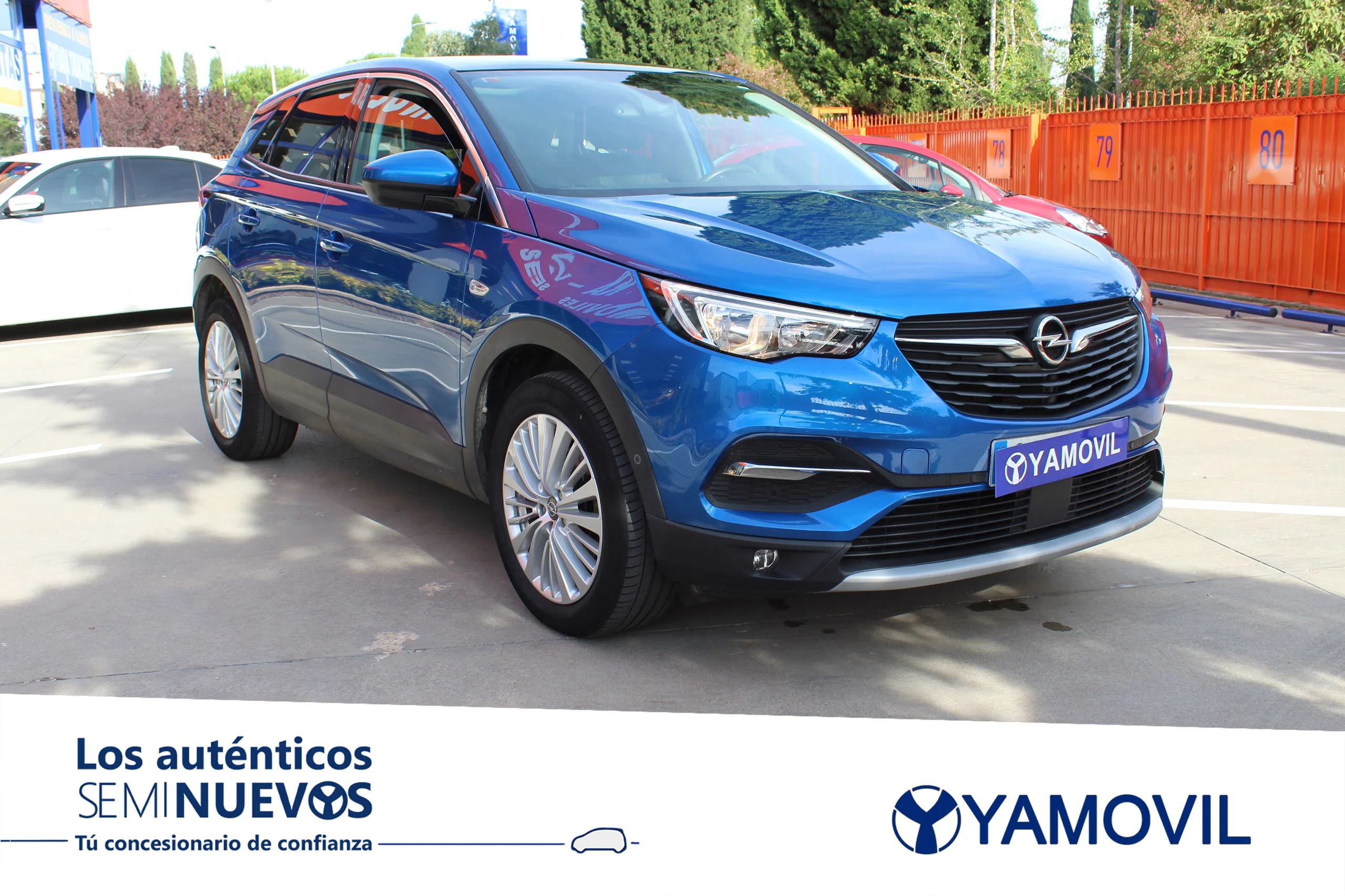 Opel Grandland X 1.6 CDTi Excellence 88 kW (120 CV) - Foto 3