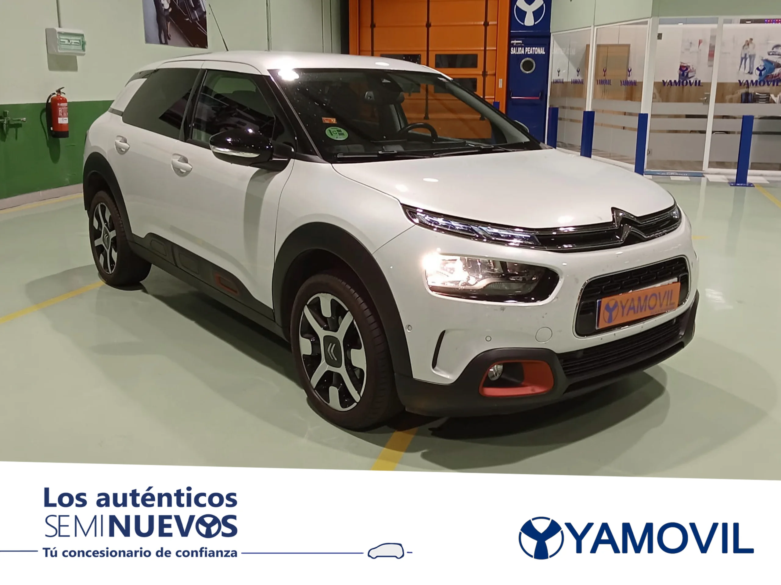 Citroen C4 Cactus PureTech 110 SANDS Shine EAT6 81 kW (110 CV) - Foto 3