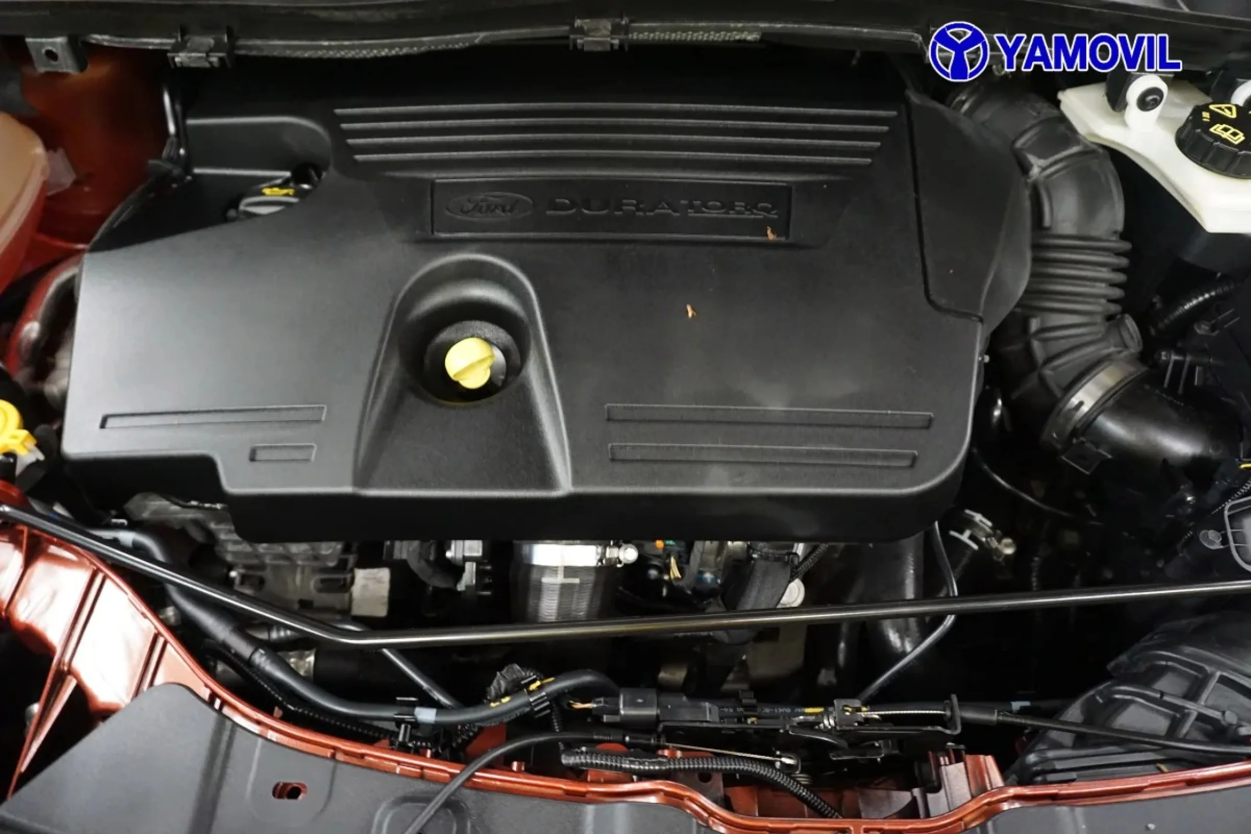 Ford Kuga 2.0 TDCI SANDS ST-Line 4x4 Powershift 132 kW (180 CV) - Foto 8