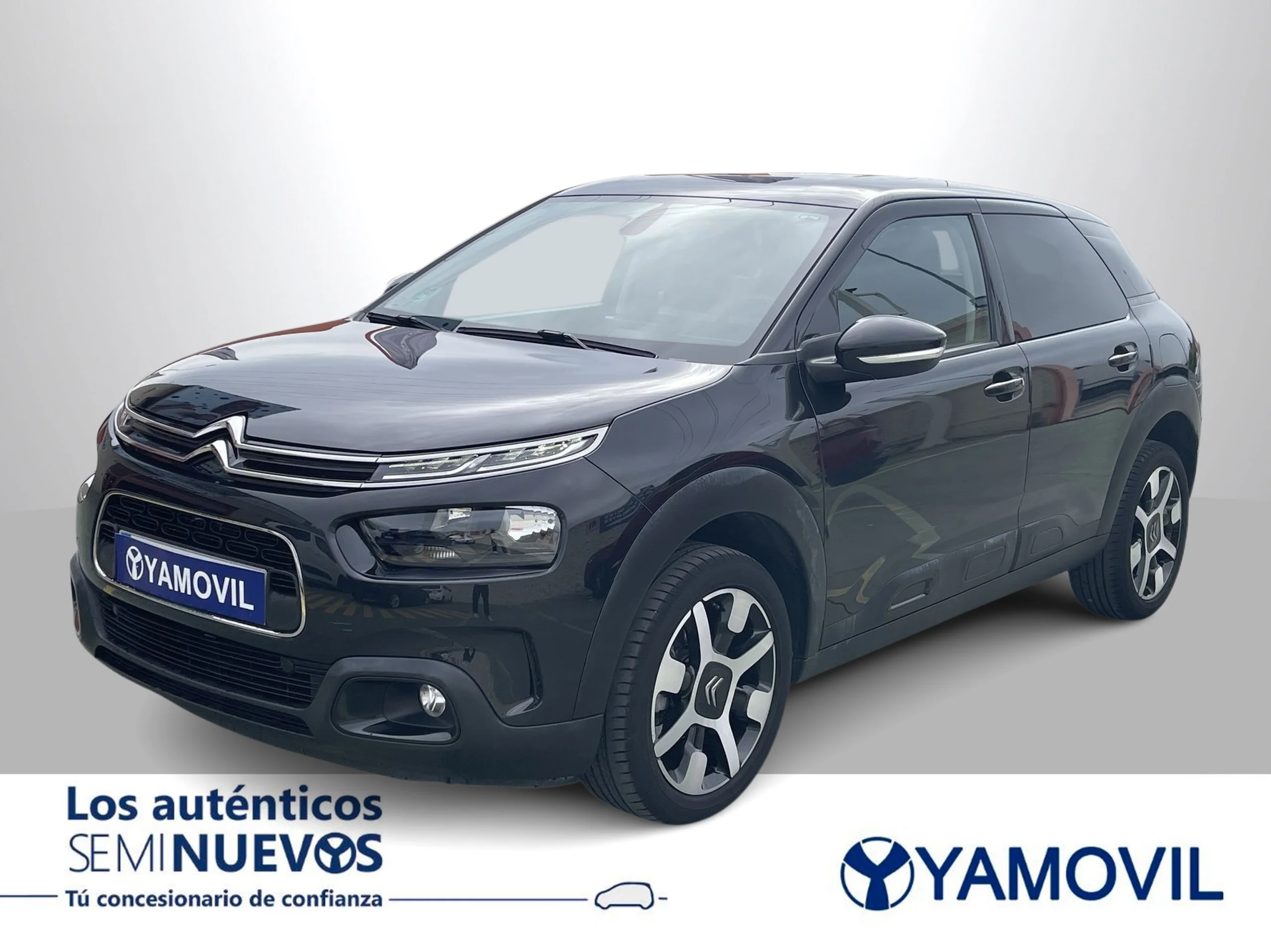 Citroen C4 Cactus PureTech 110 SANDS Shine 81 kW (110 CV) - Foto 3