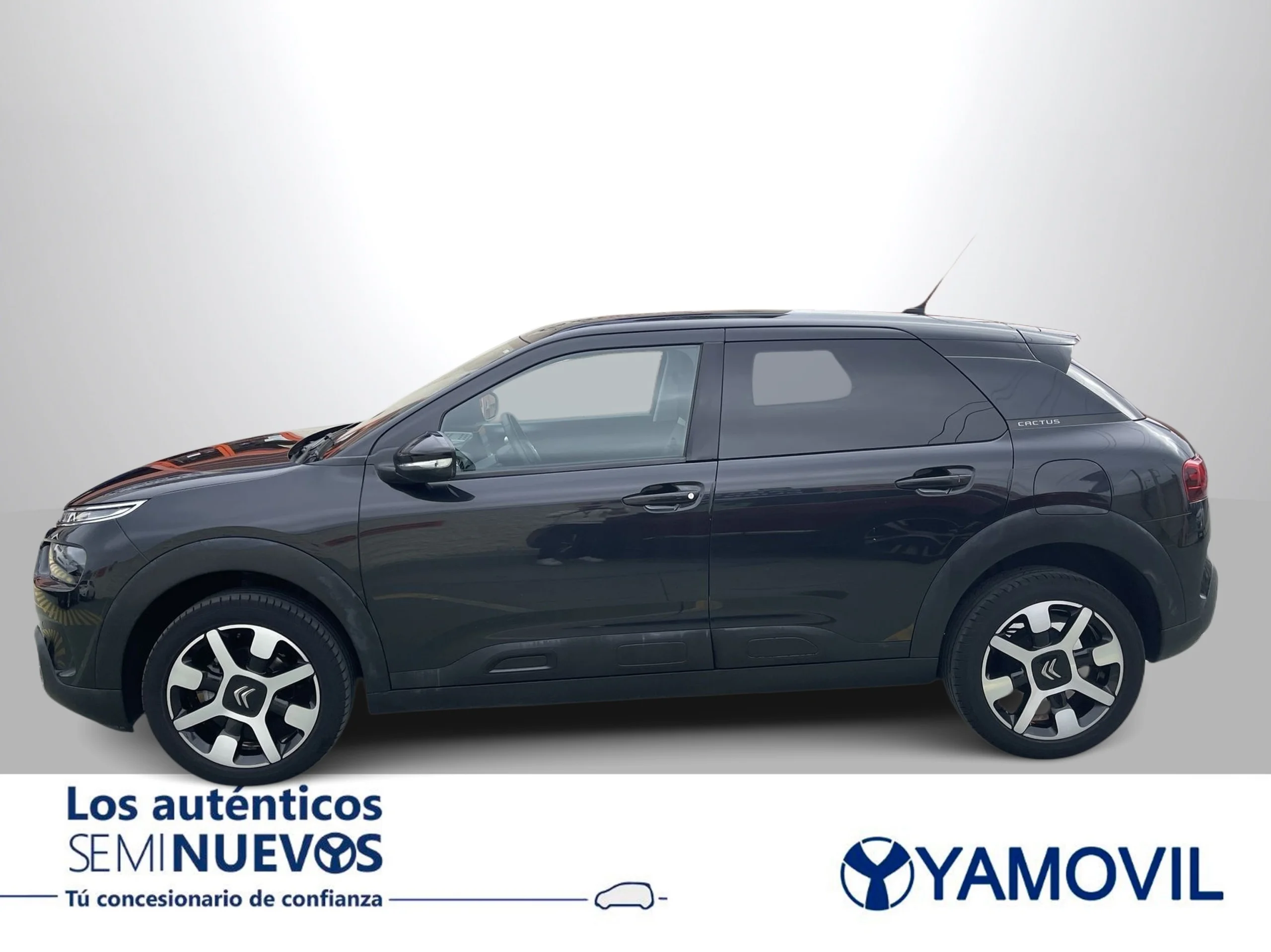 Citroen C4 Cactus PureTech 110 SANDS Shine 81 kW (110 CV) - Foto 4