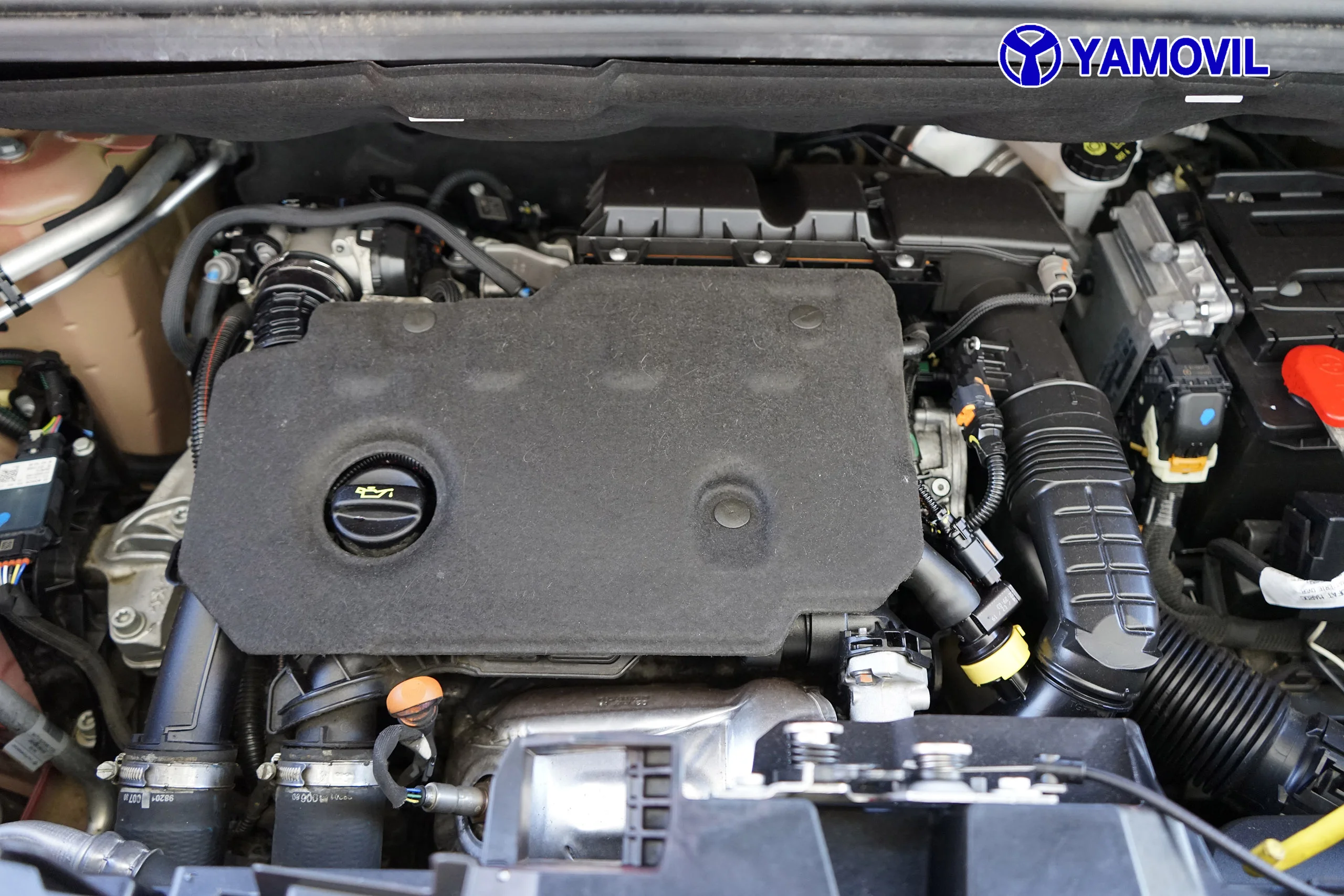 Citroen Berlingo 1.5 BLUEHDI TALLA XL 7PLZ 5P - Foto 8