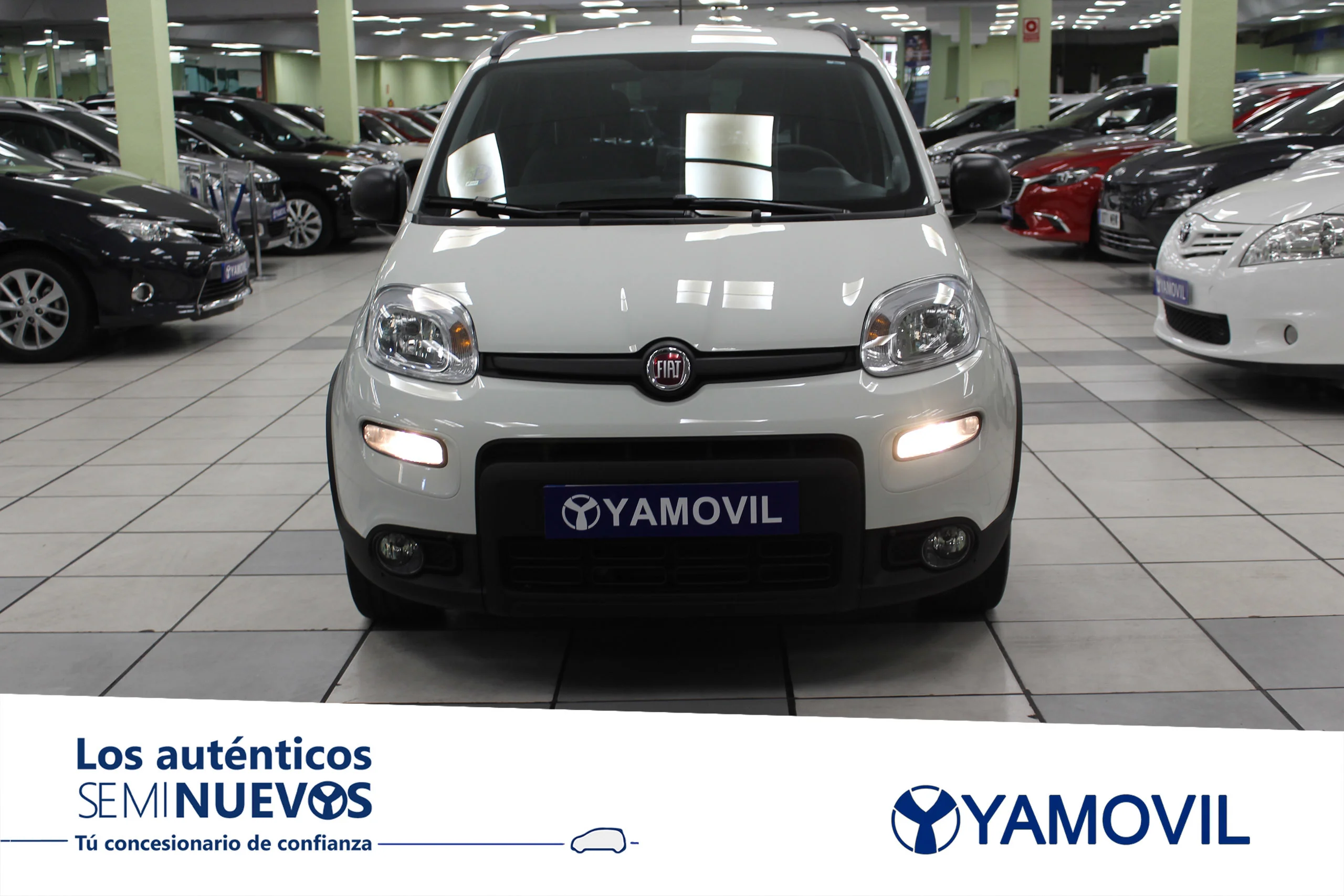 Fiat Panda PANDA CITY LIFE HYBRID 1,0 70CV  GSE 5P - Foto 2
