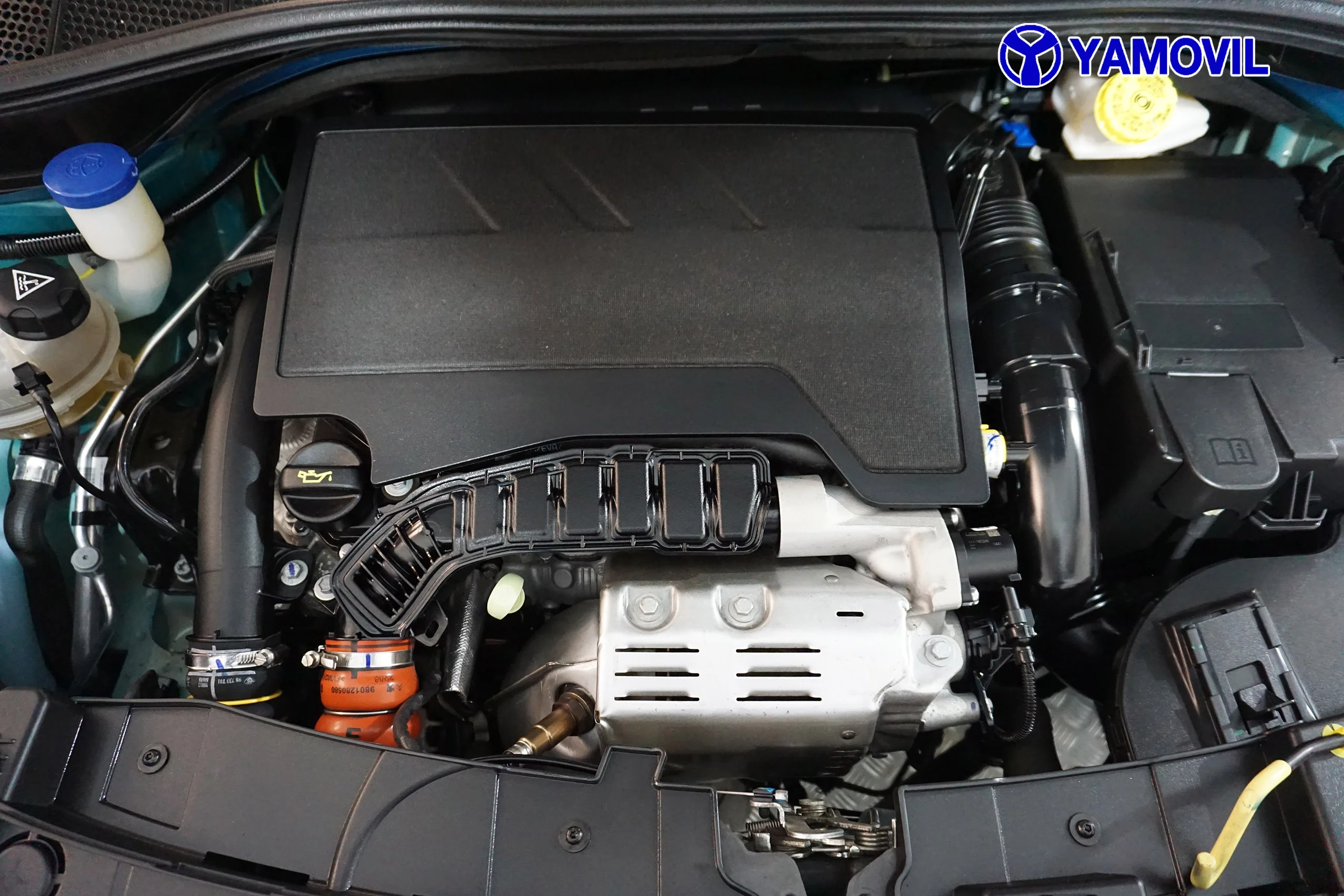 Citroen C4 CACTUS 1.2 PURETECH SHINE S&S 5P - Foto 8