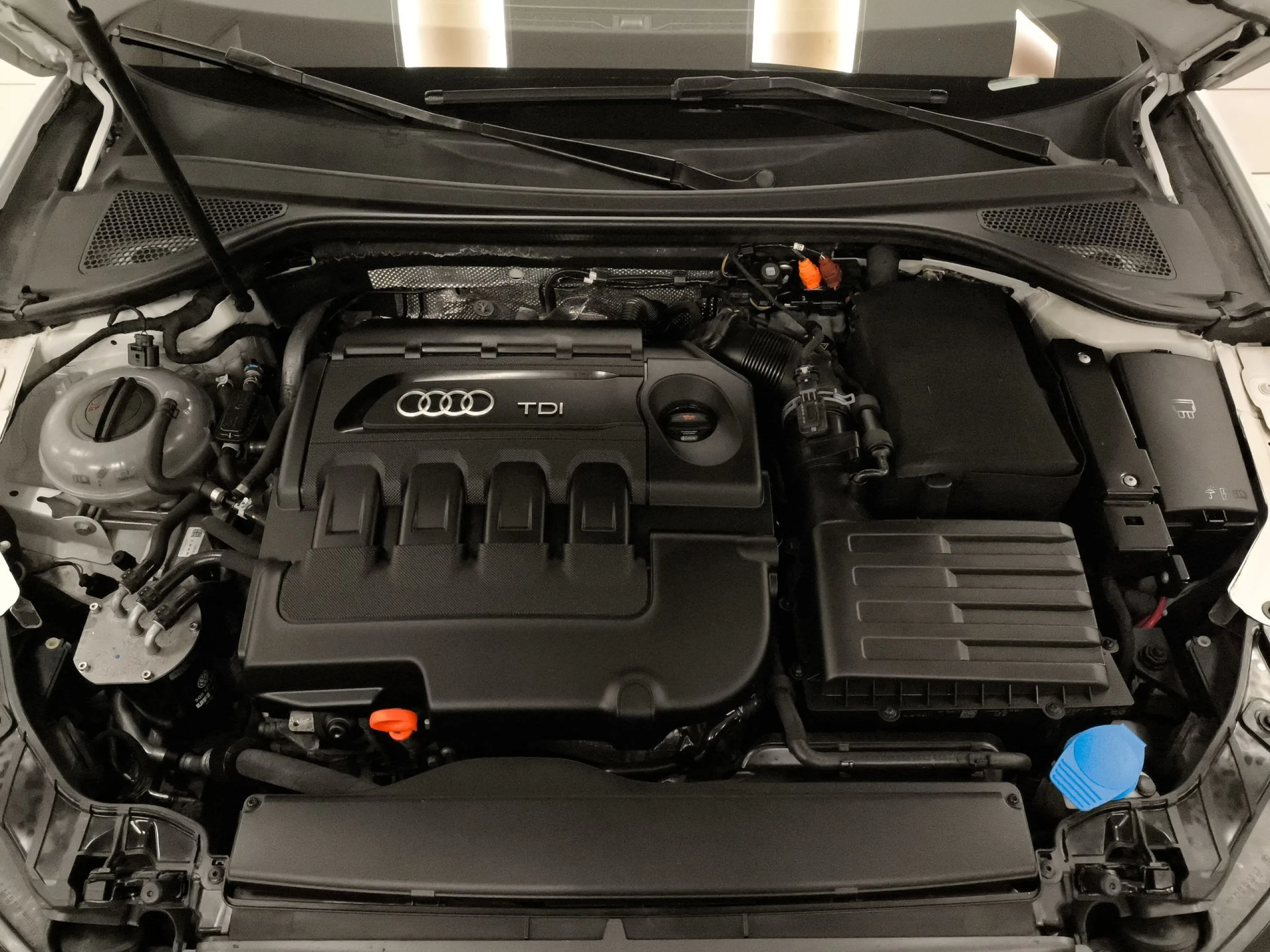 Audi A3 Sportback Attraction 1.6 TDI 77 kW (105 CV) - Foto 23