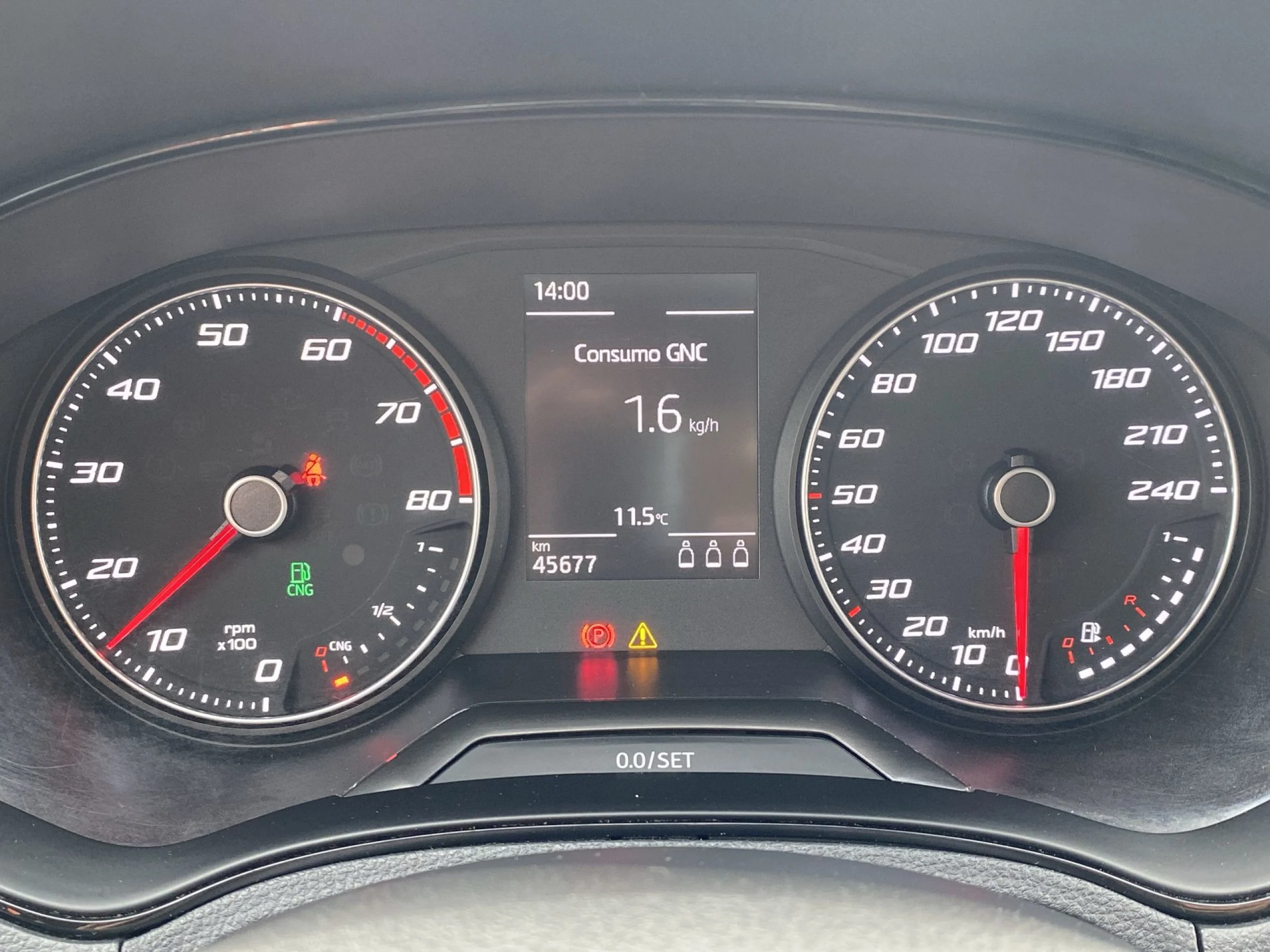 Seat Ibiza 1.0 TGI Reference Plus 66 kW (90 CV) - Foto 12