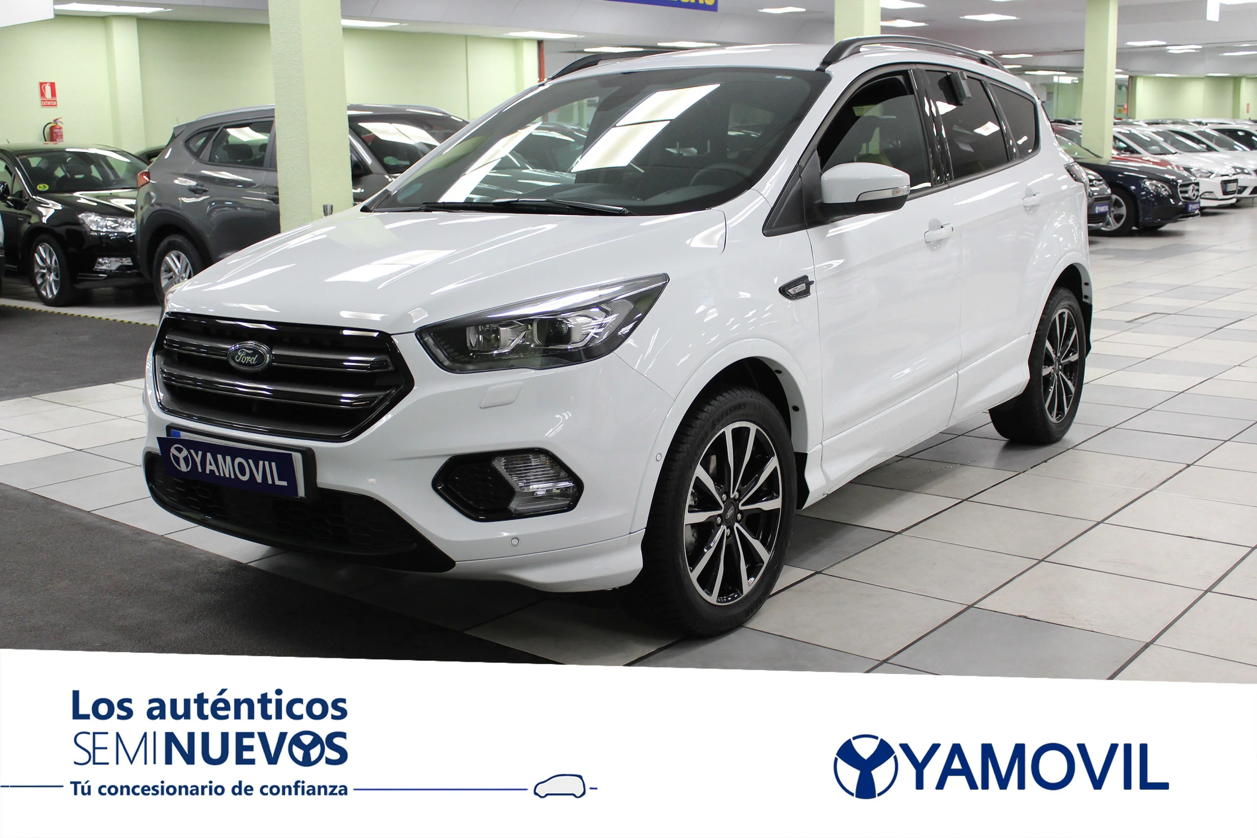 Ford Kuga 1.5 EcoBoost ST-Line Limited Edition 4x2 110 kW (150 CV) - Foto 1