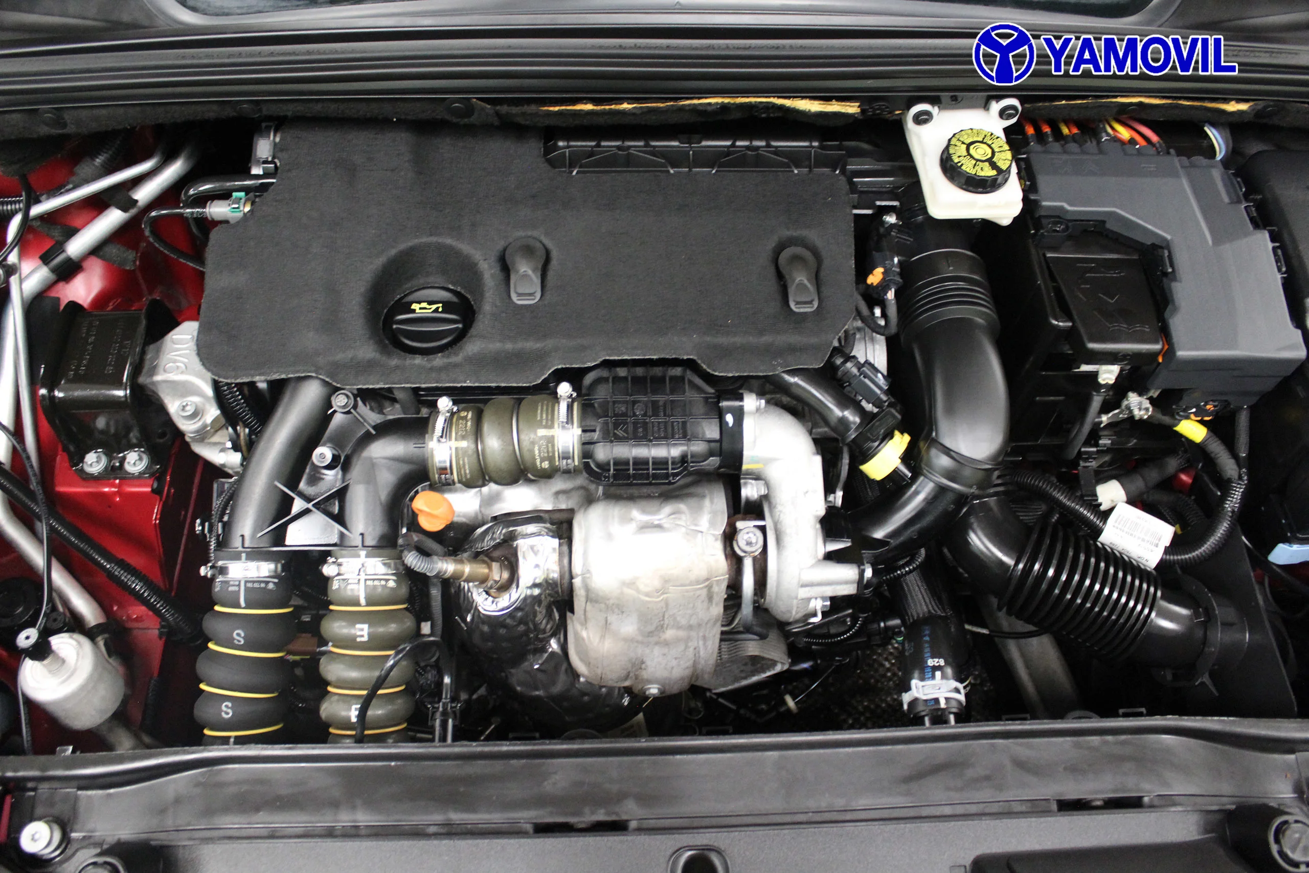 Citroen C4 1.6 HDi Collection 68 kW (92 CV) - Foto 8