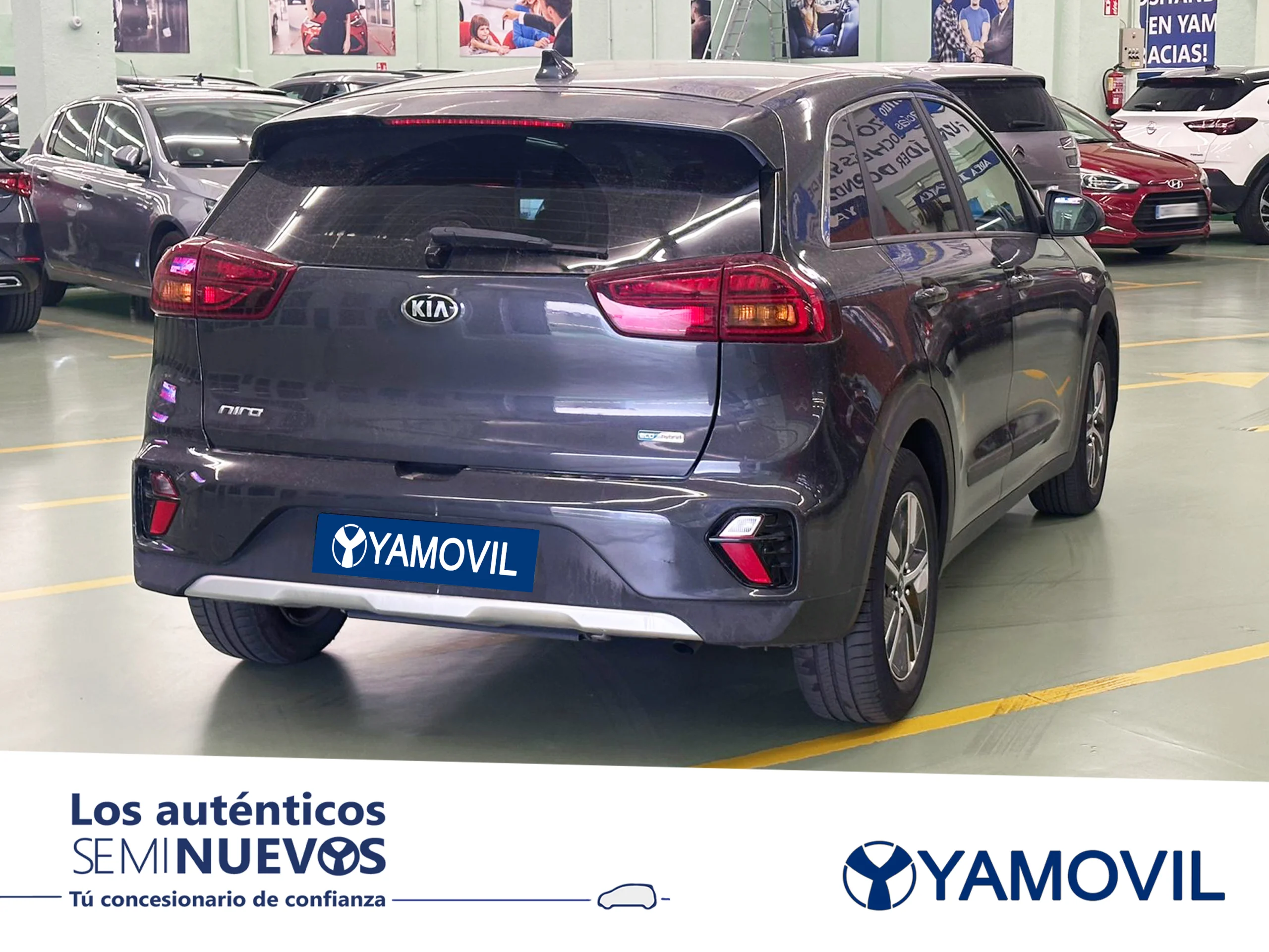 Kia Niro 1.6 GDi PHEV Drive 104 kW (141 CV) - Foto 2