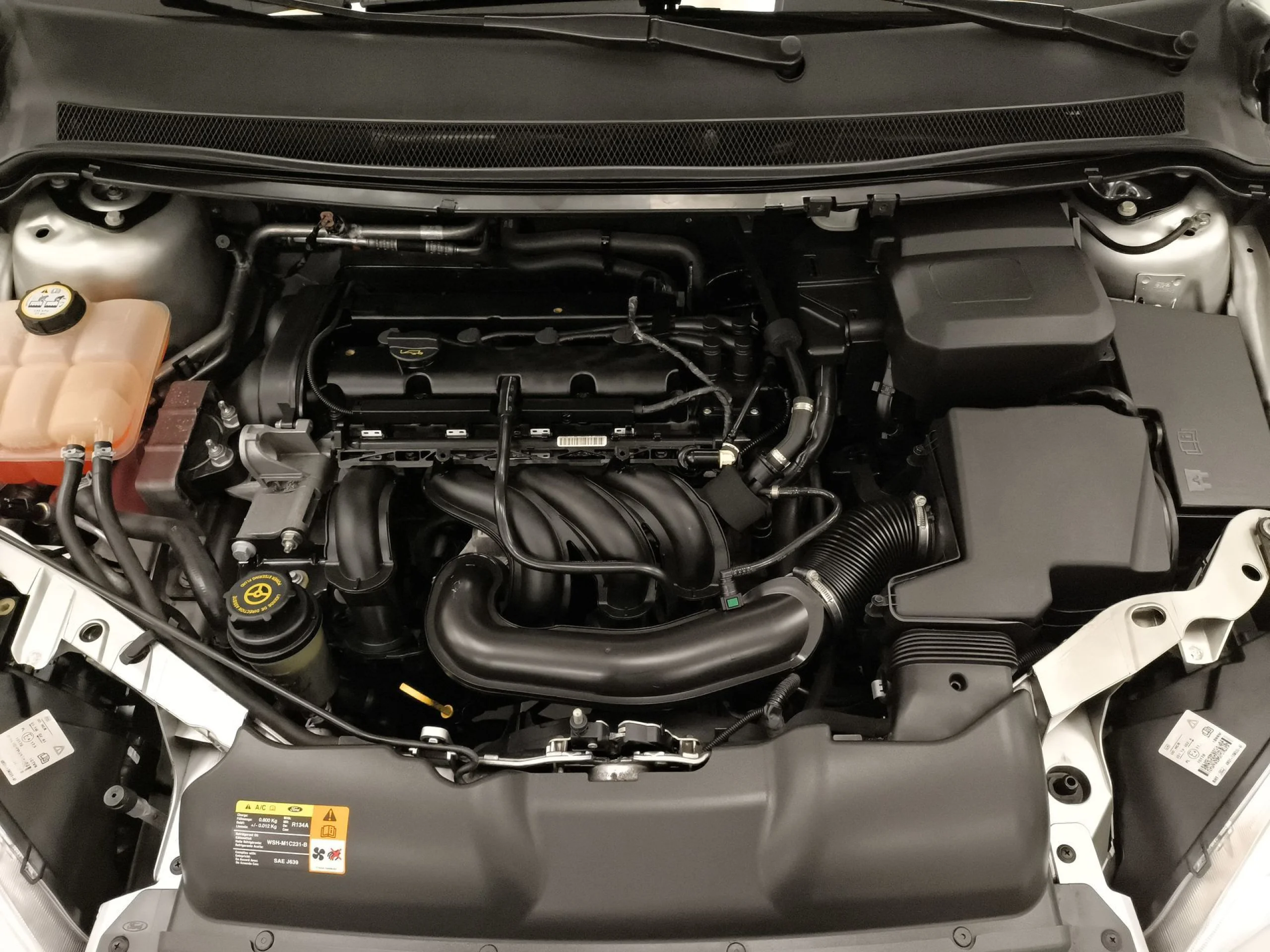 Ford Focus 1.6 Trend Auto 74 kW (100 CV) - Foto 20