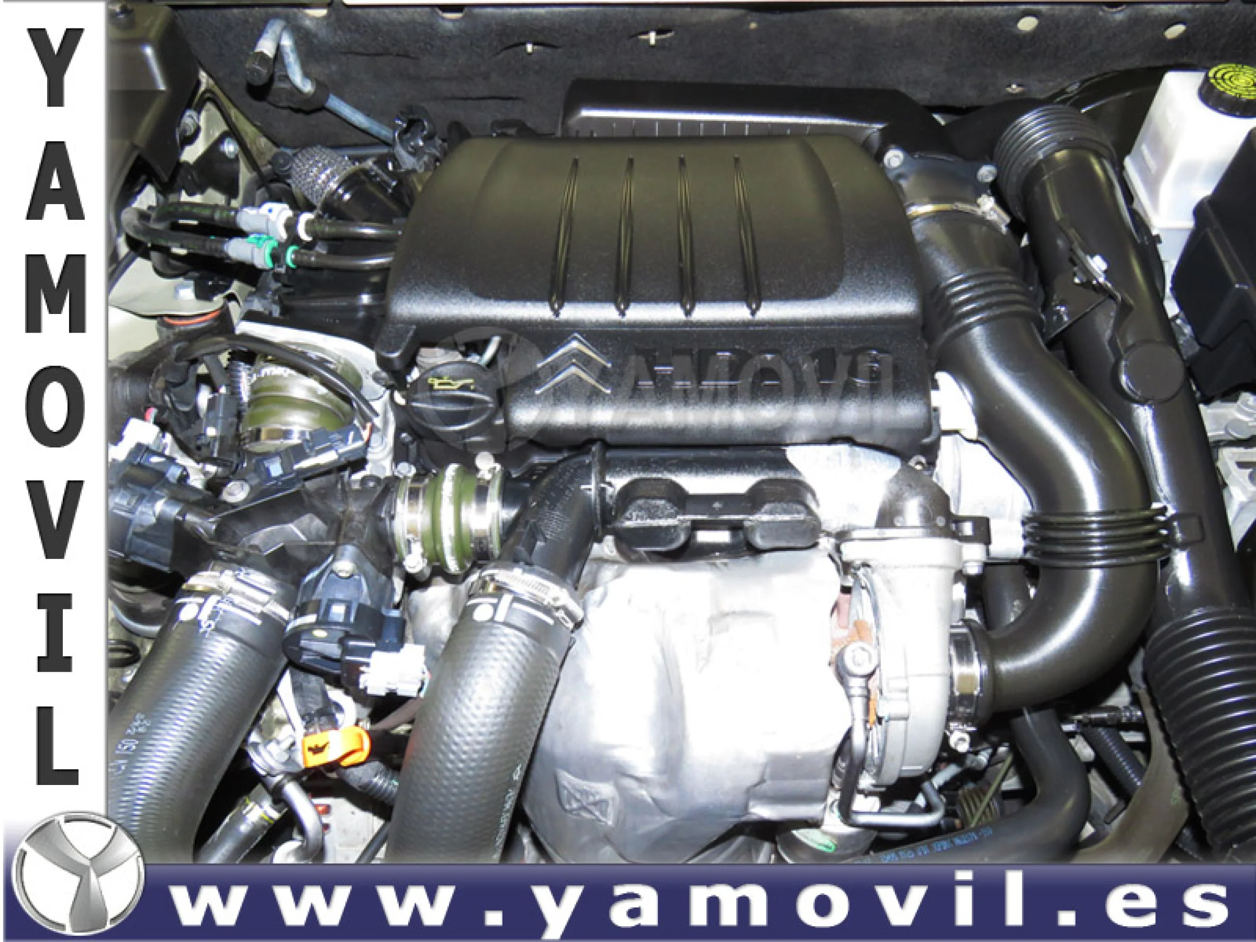 Citroen C5 1.6 HDi 110CV COLLECTION - Foto 8