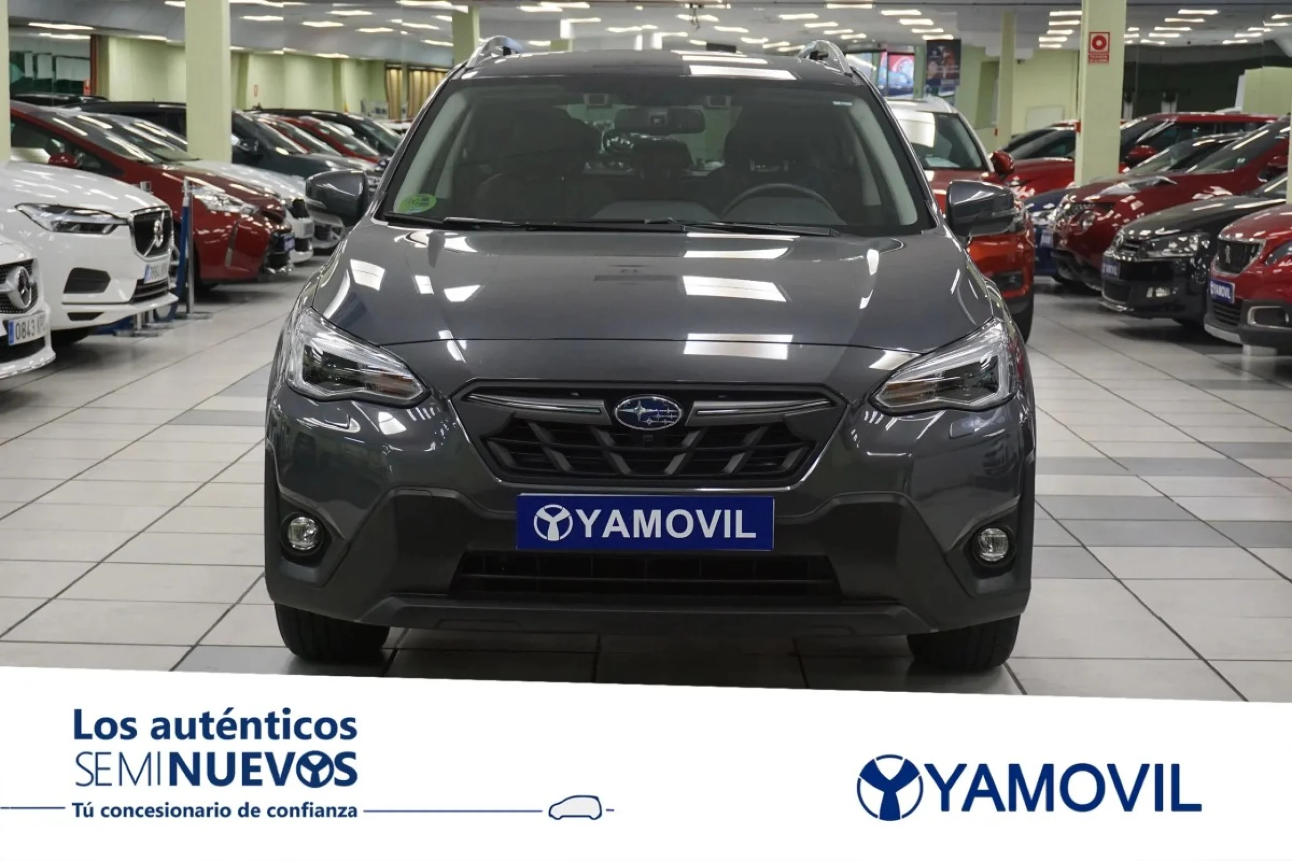Subaru XV 1.6 Executive Plus CVT 84 kW (114 CV) - Foto 2