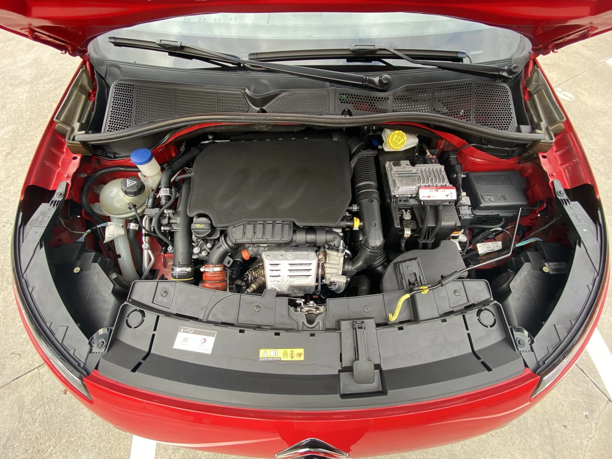 Citroen C4 Cactus PureTech 110 SANDS Rip Curl 81 kW (110 CV) - Foto 23