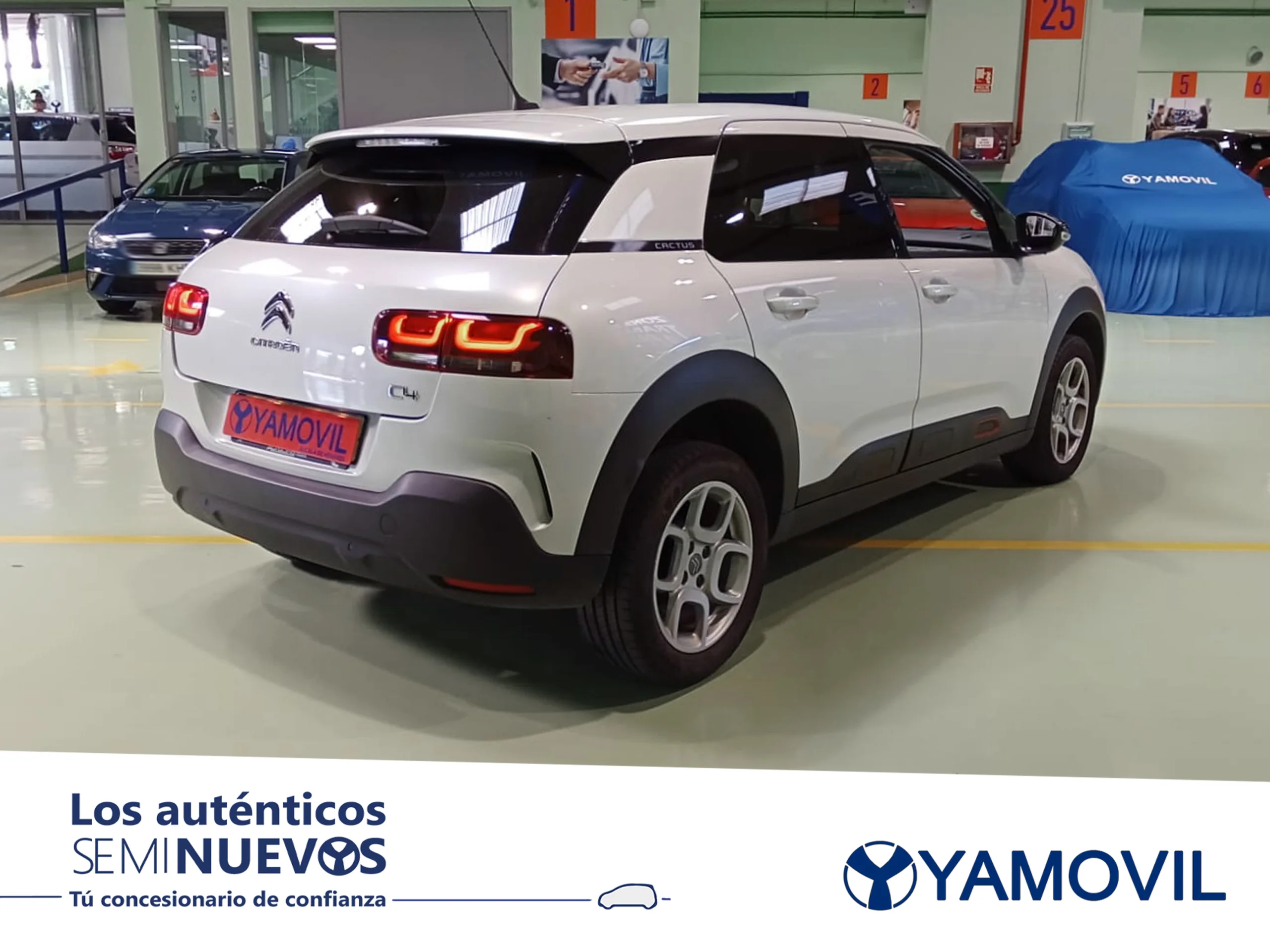 Citroen C4 Cactus PureTech 110 SANDS Feel 81 kW (110 CV) - Foto 2