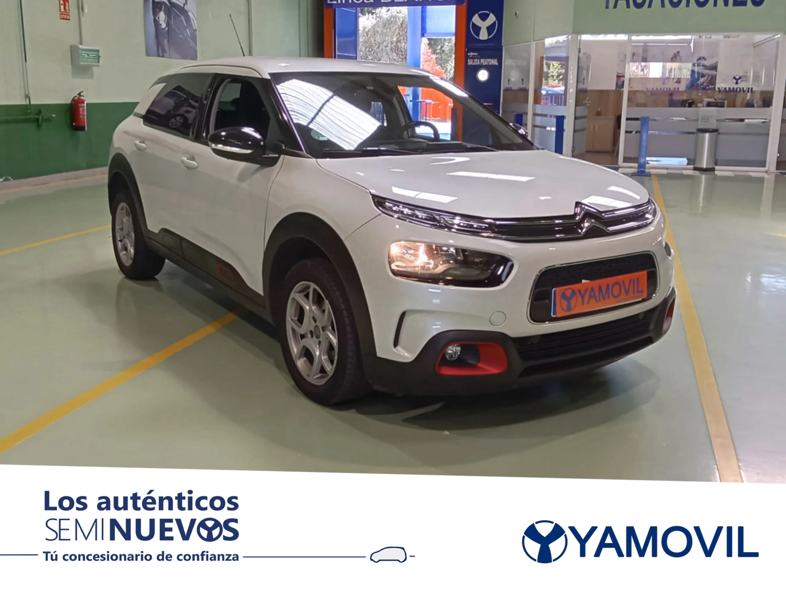 Citroen C4 Cactus PureTech 110 SANDS Feel 81 kW (110 CV) - Foto 3