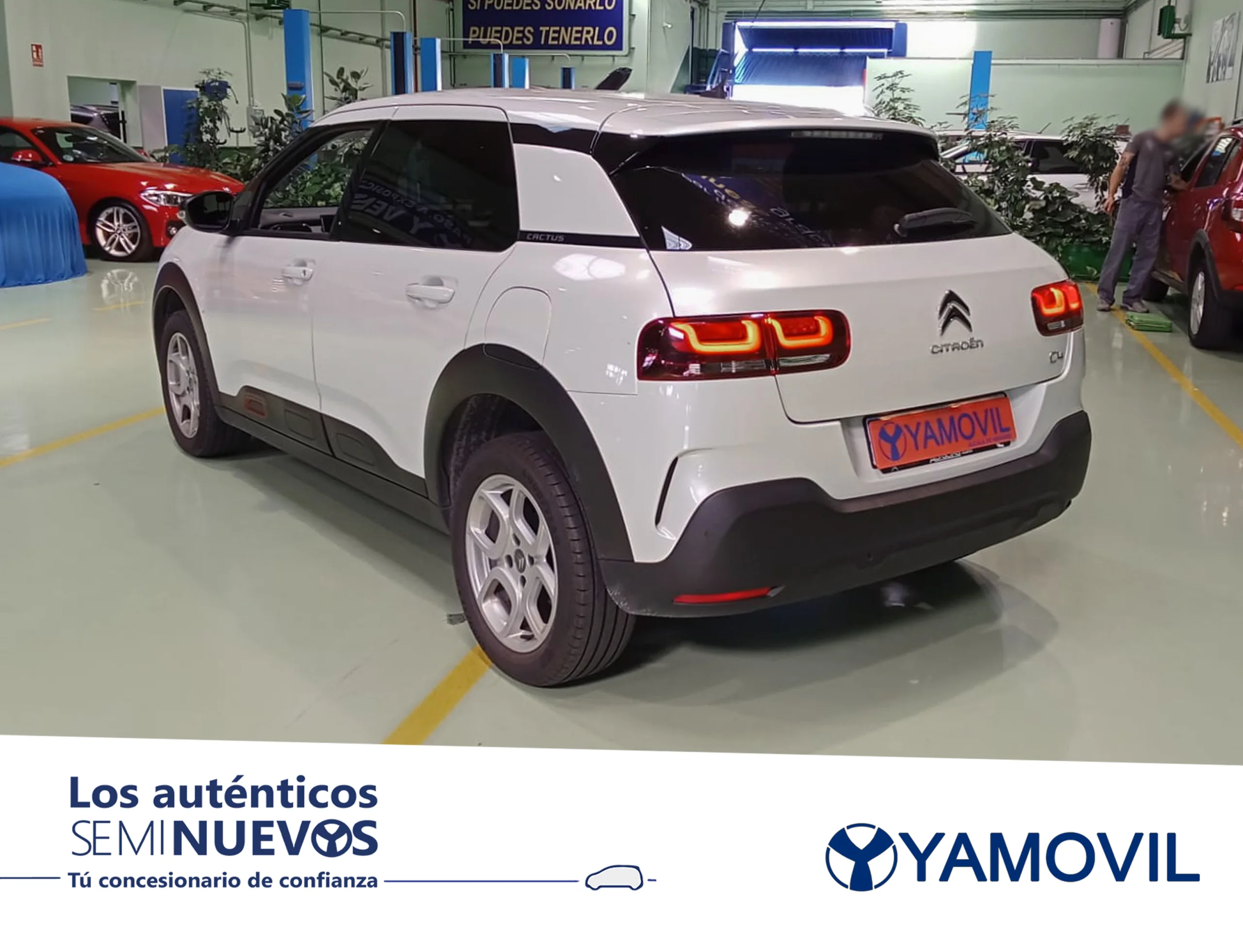 Citroen C4 Cactus PureTech 110 SANDS Feel 81 kW (110 CV) - Foto 4