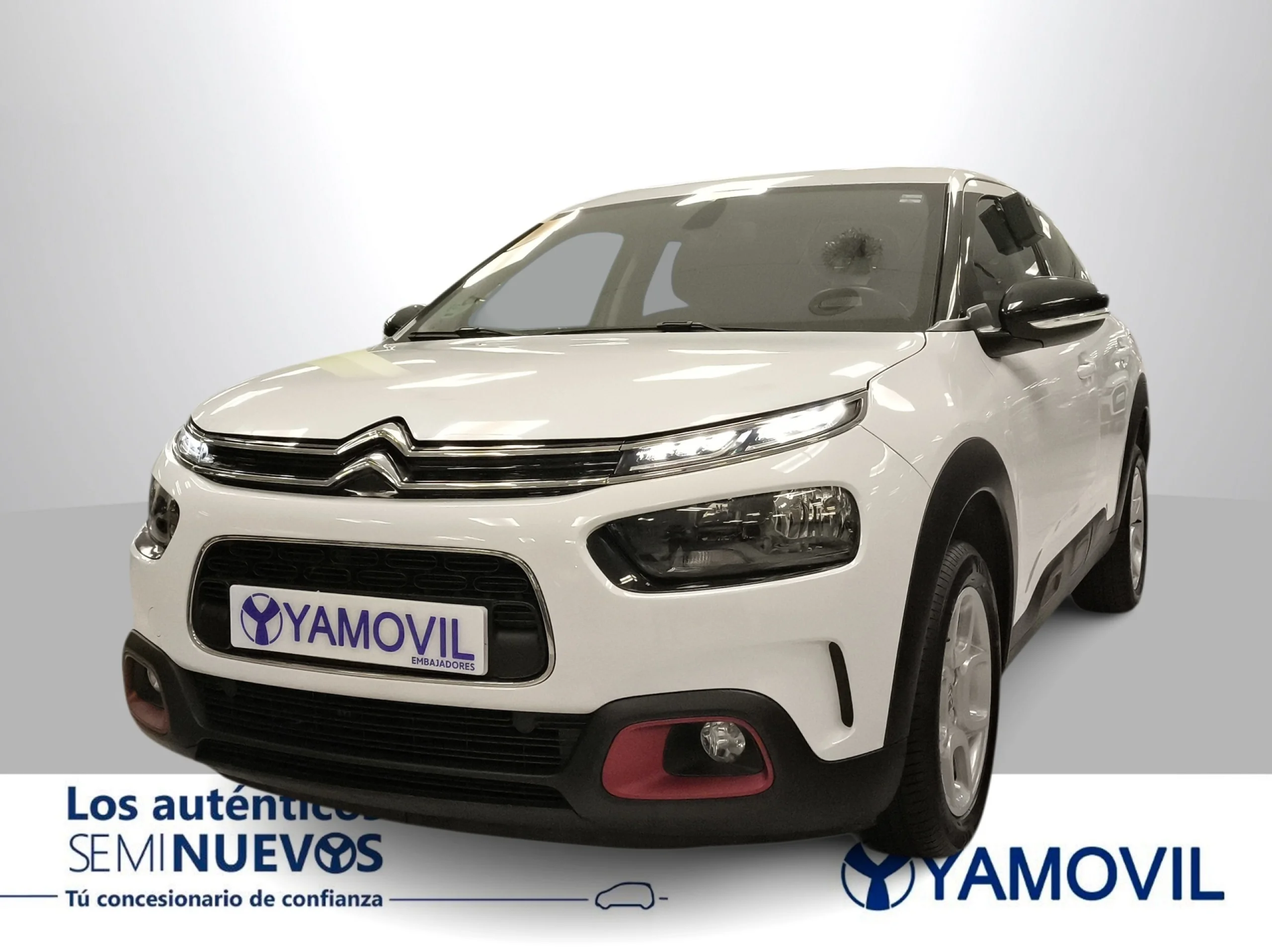 Citroen C4 Cactus PureTech 110 SANDS Feel 81 kW (110 CV) - Foto 1