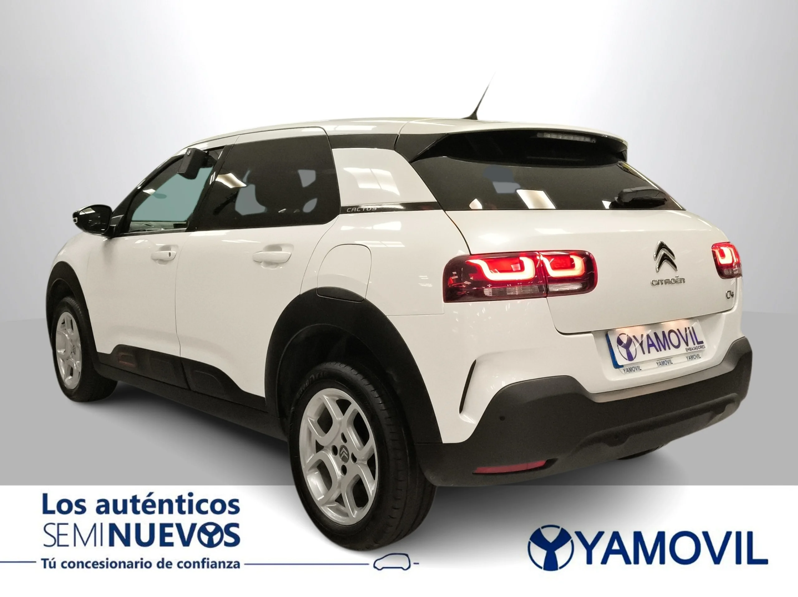 Citroen C4 Cactus PureTech 110 SANDS Feel 81 kW (110 CV) - Foto 5
