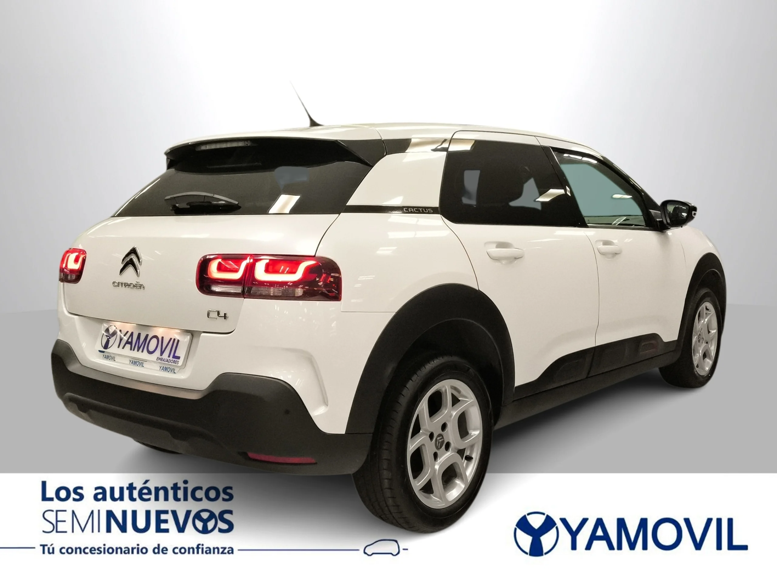 Citroen C4 Cactus PureTech 110 SANDS Feel 81 kW (110 CV) - Foto 6