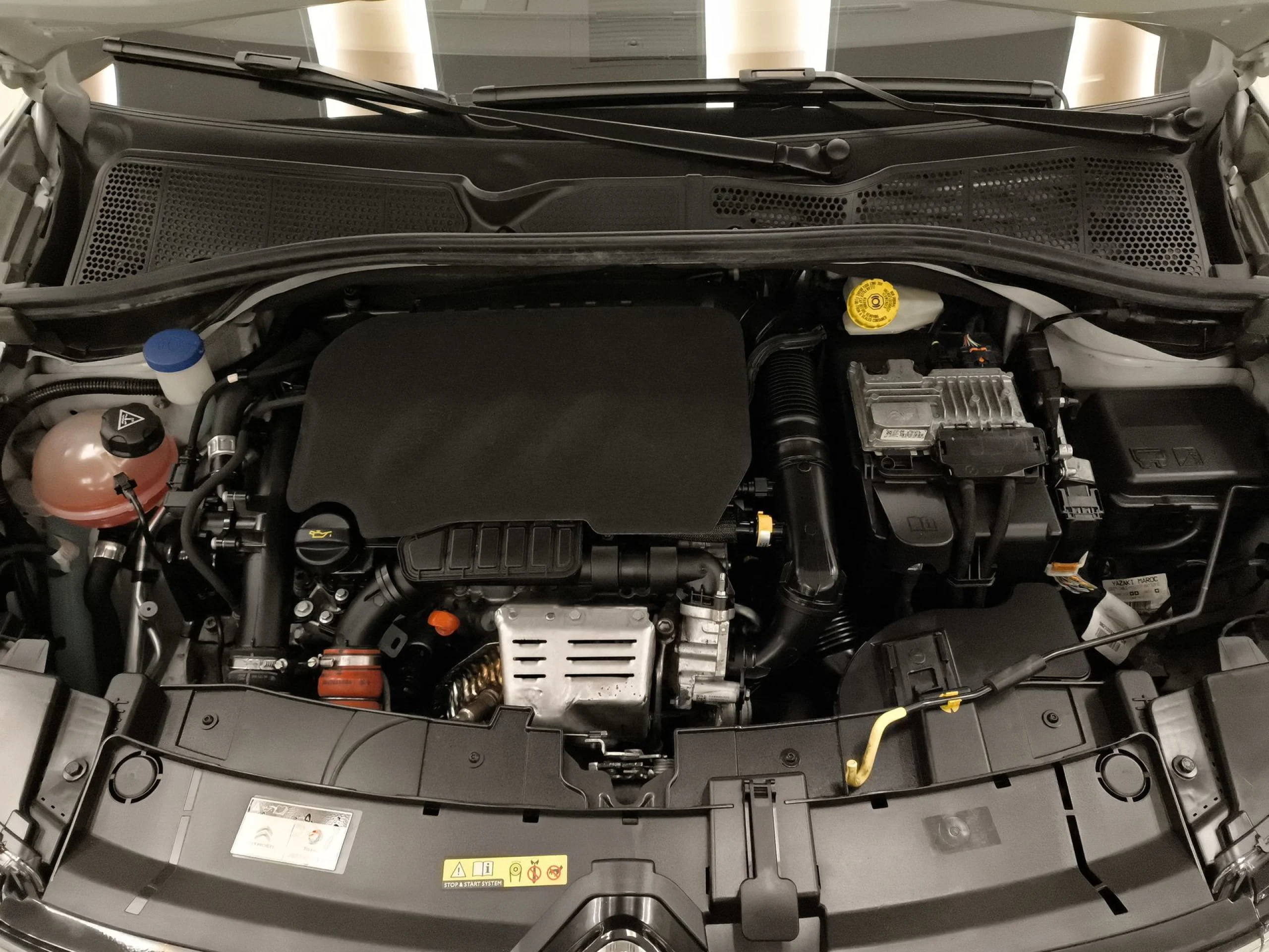 Citroen C4 Cactus PureTech 110 SANDS Feel 81 kW (110 CV) - Foto 23