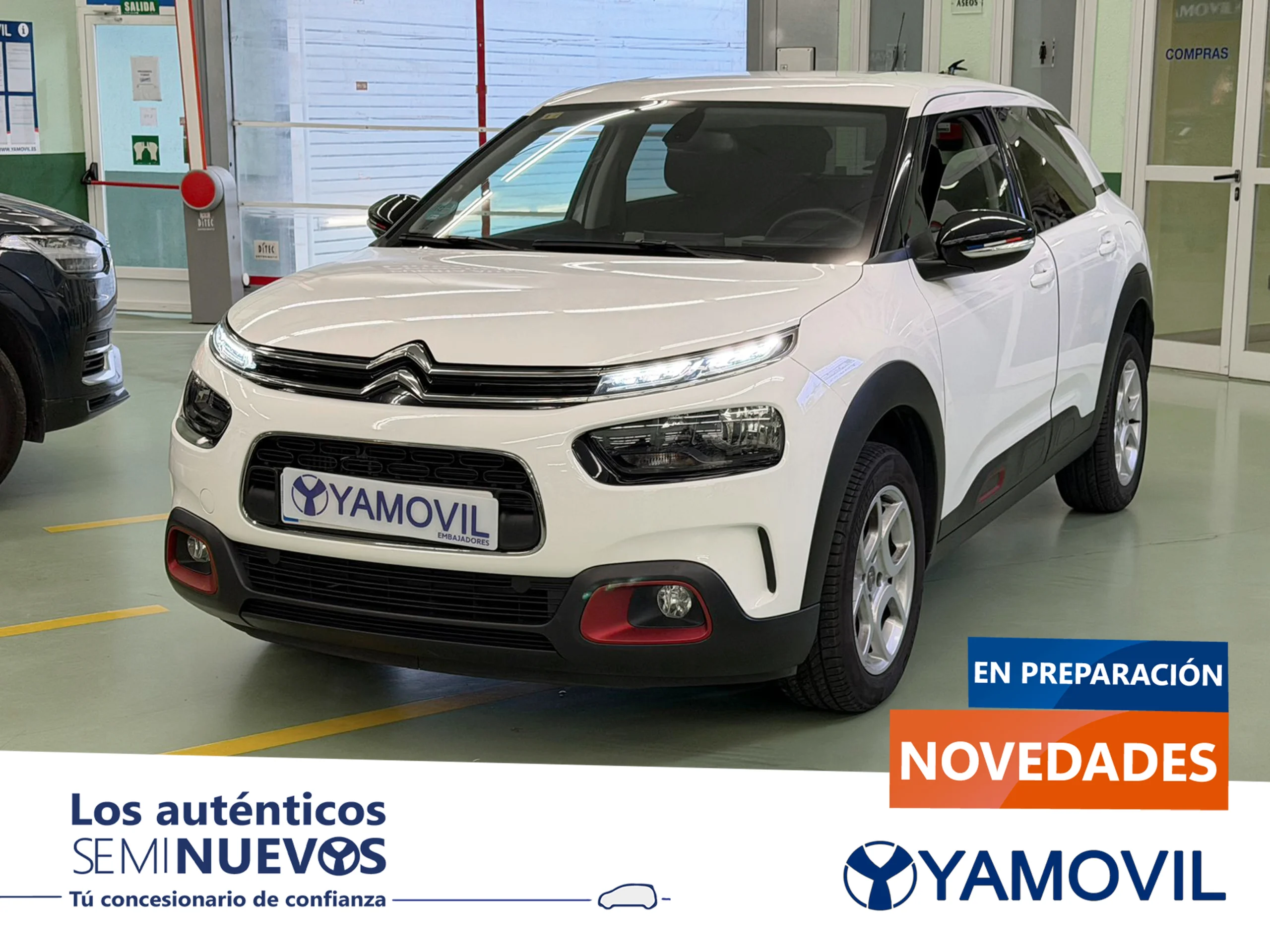 Citroen C4 Cactus PureTech 110 SANDS Shine 81 kW (110 CV) - Foto 1