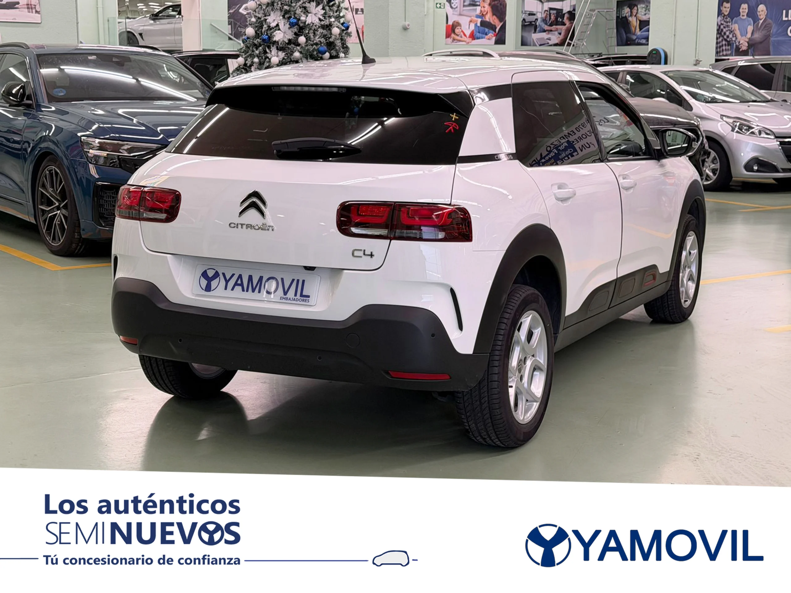Citroen C4 Cactus PureTech 110 SANDS Shine 81 kW (110 CV) - Foto 2