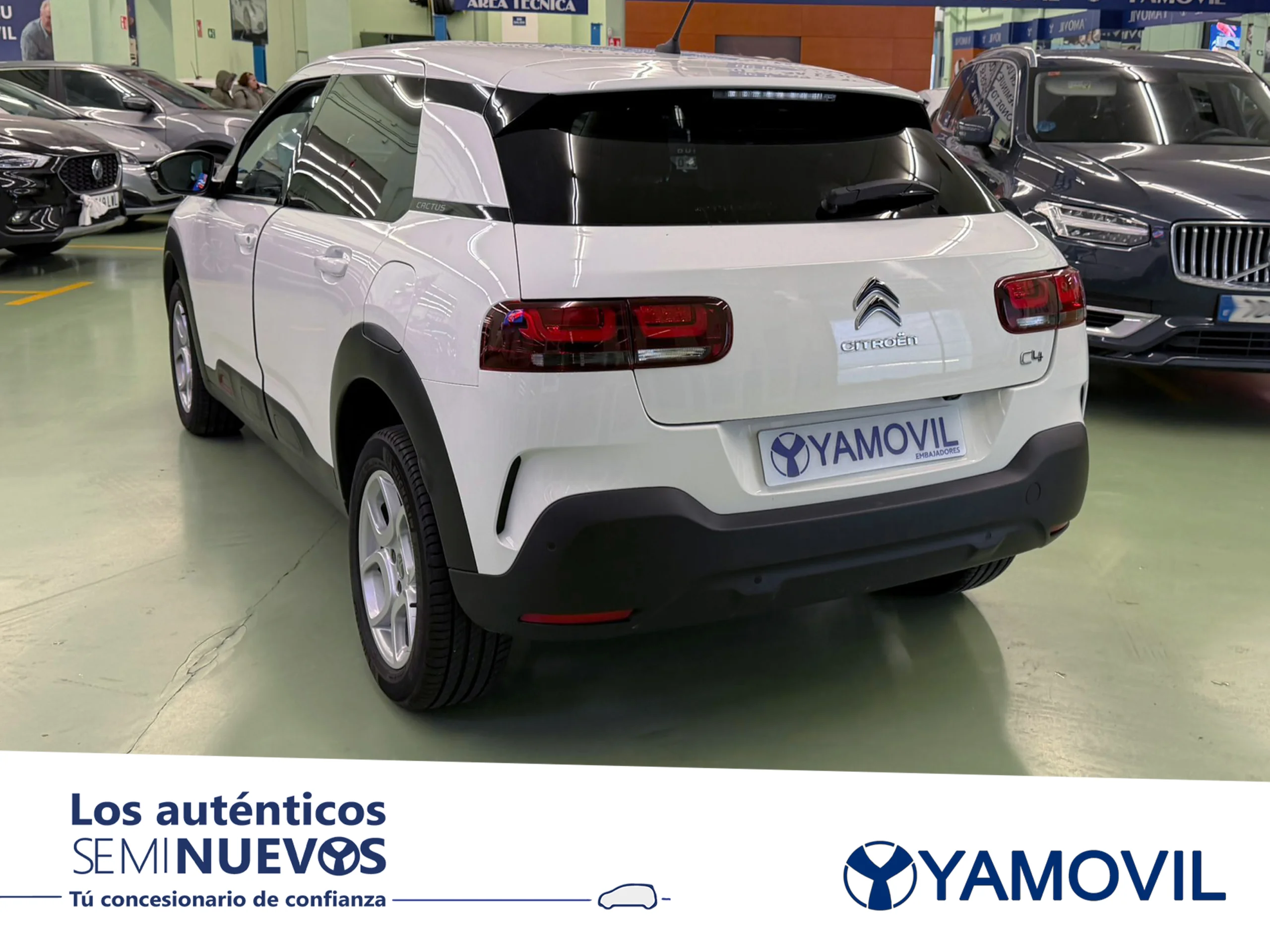 Citroen C4 Cactus PureTech 110 SANDS Shine 81 kW (110 CV) - Foto 4