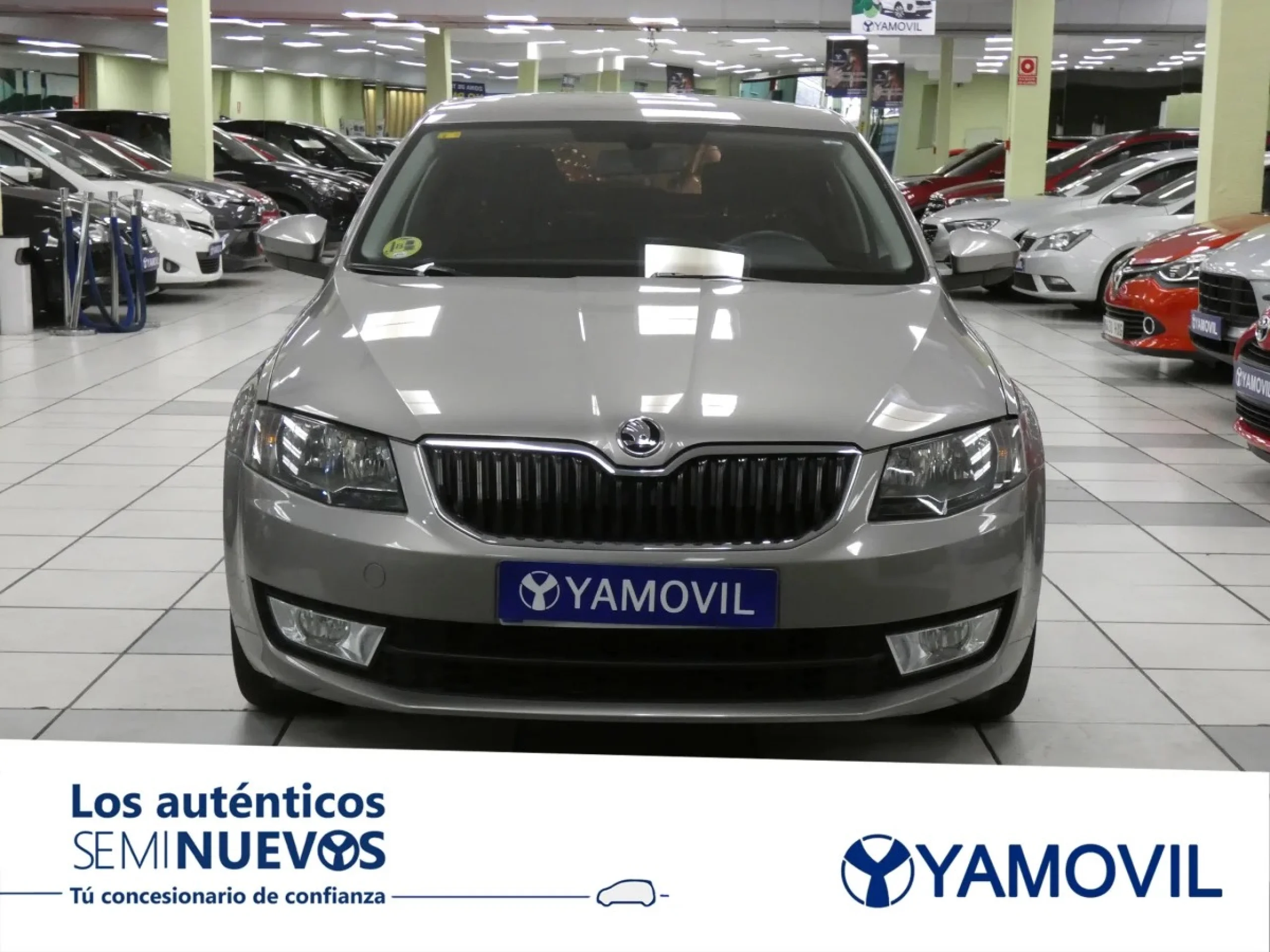 Skoda Octavia 1.6 TDI CR Ambition 77 kW (105 CV) - Foto 2