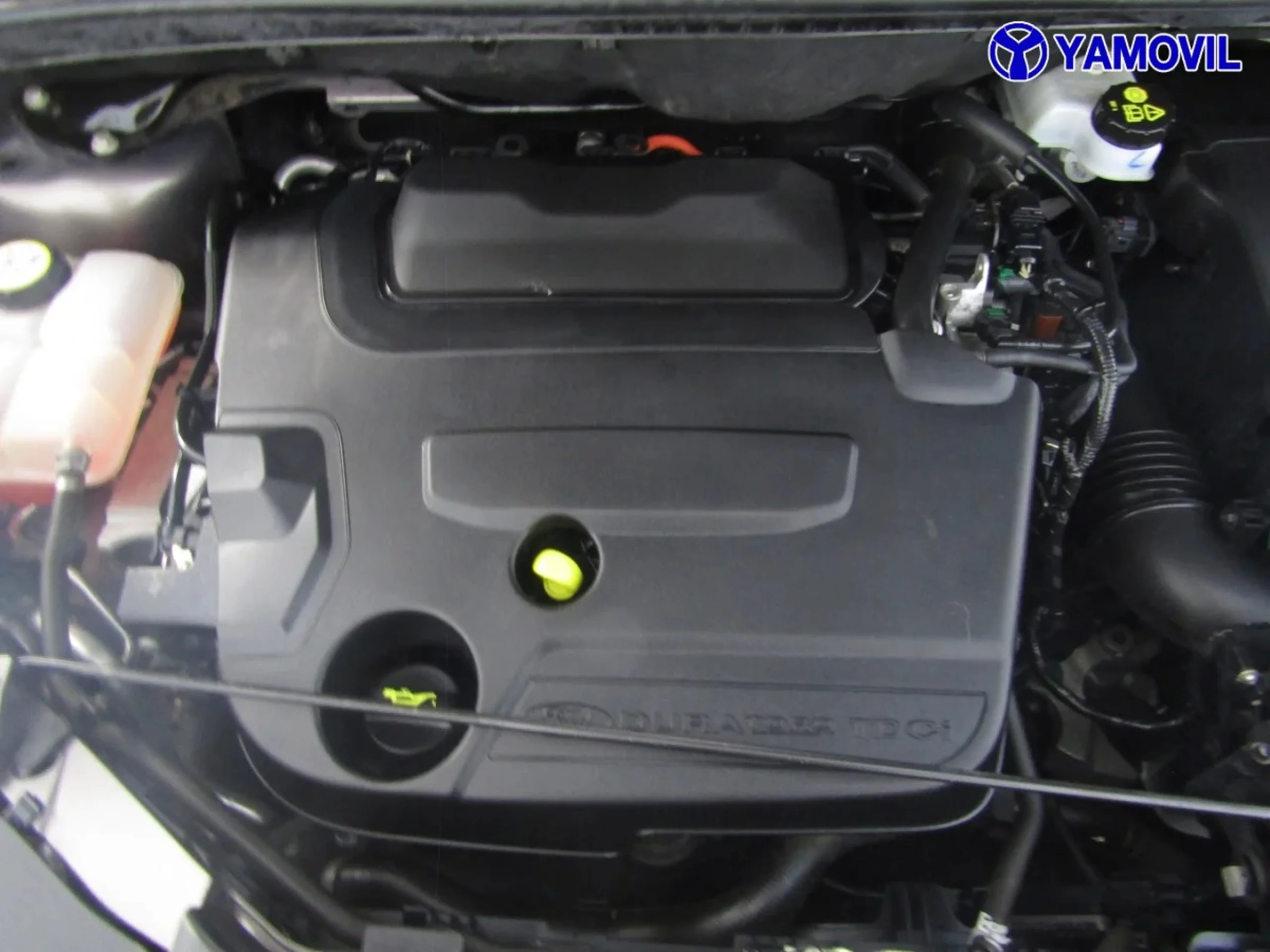 Ford Kuga 2.0 TDCI SANDS Trend 4x4 103 kW (140 CV) - Foto 9