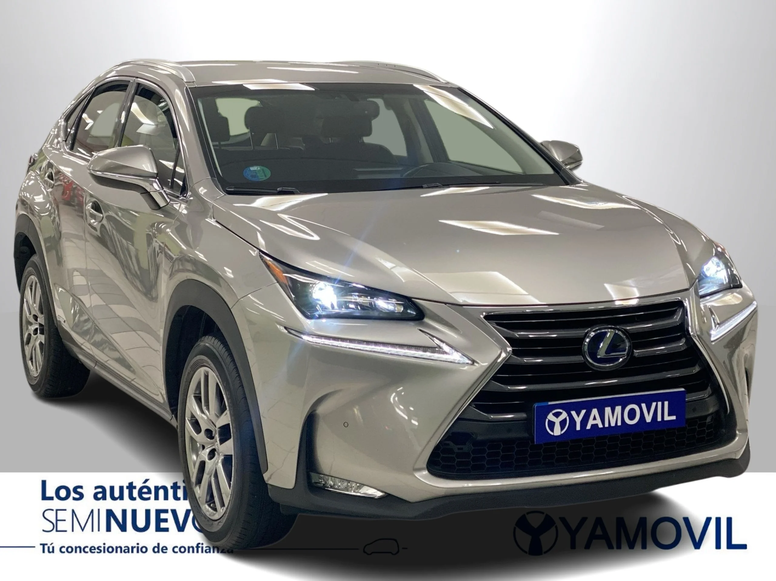 Lexus NX 300h Executive 4WD + Navibox 145 kW (197 CV) - Foto 2