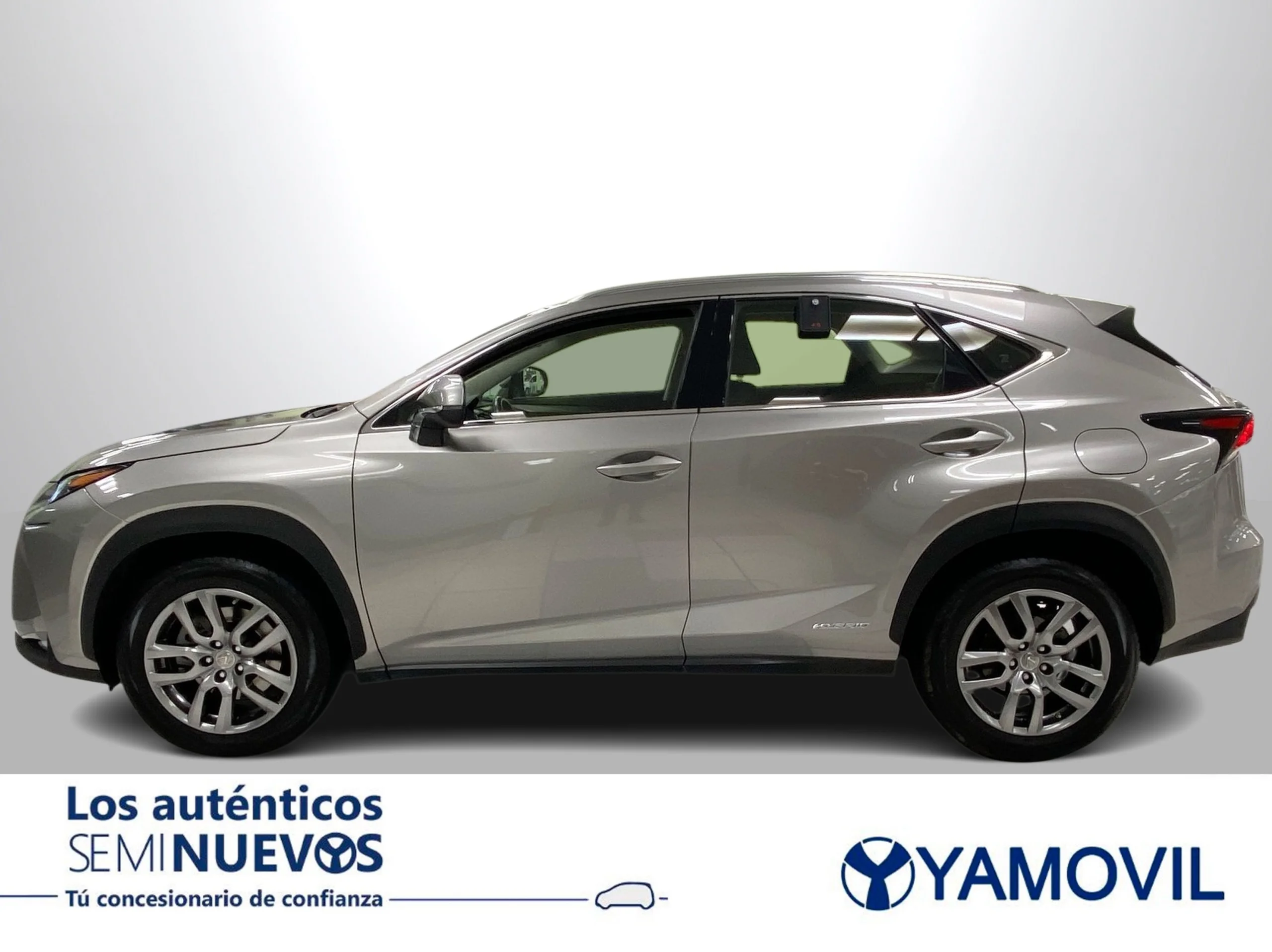 Lexus NX 300h Executive 4WD + Navibox 145 kW (197 CV) - Foto 4