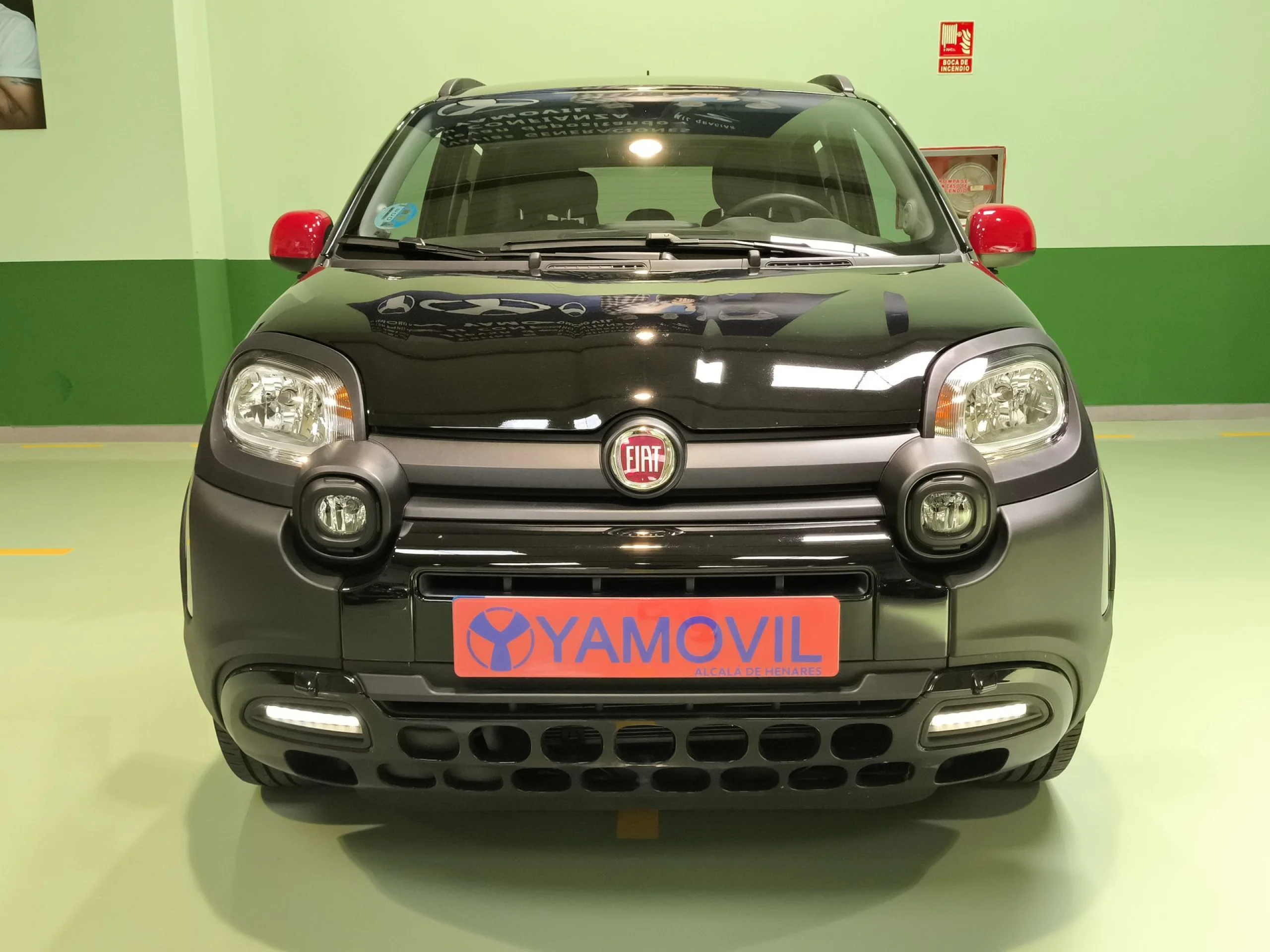 Fiat Panda 1.0 Hybrid Cross 51 kW (70 CV) - Foto 3